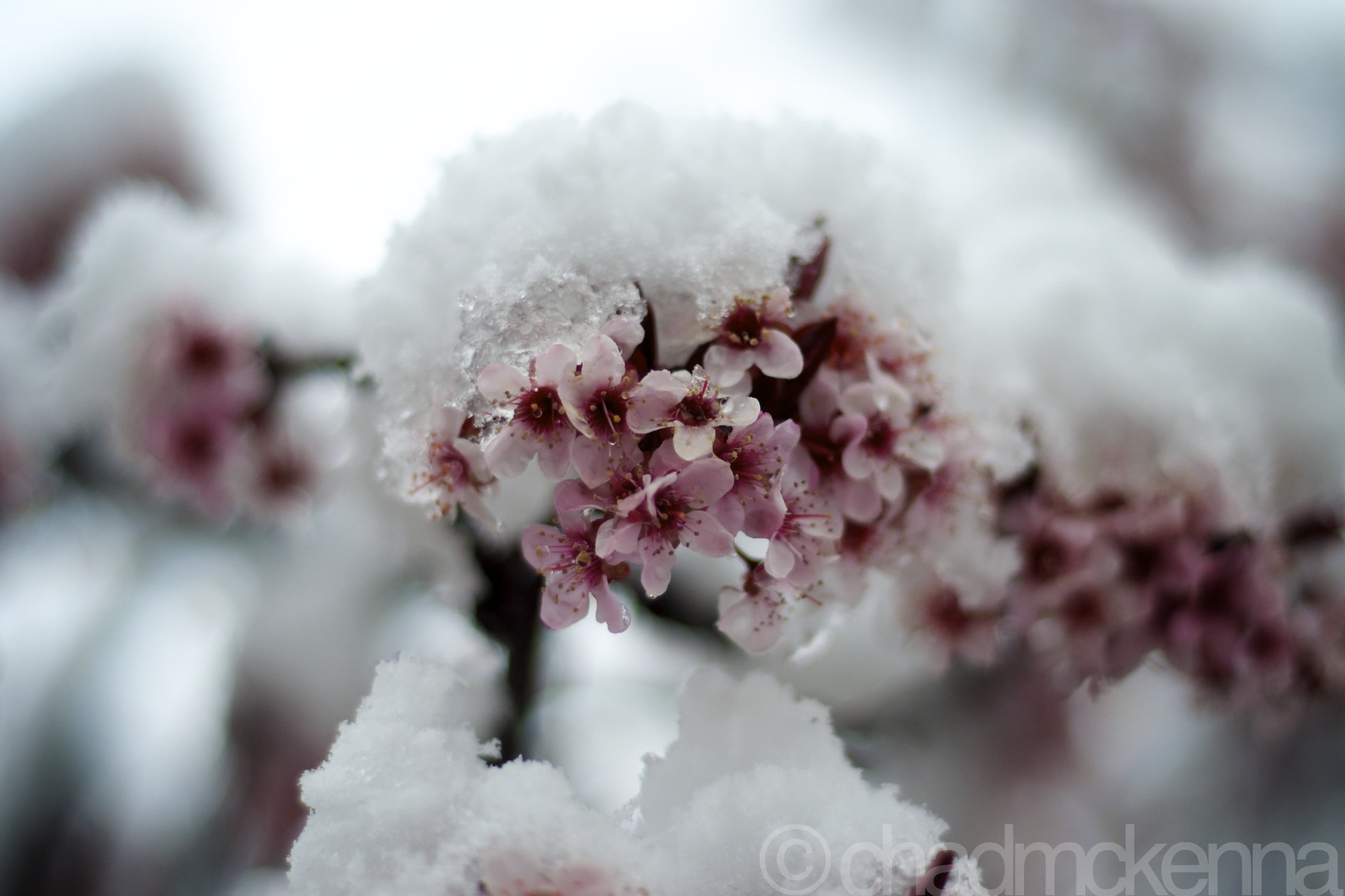 Snow in April!