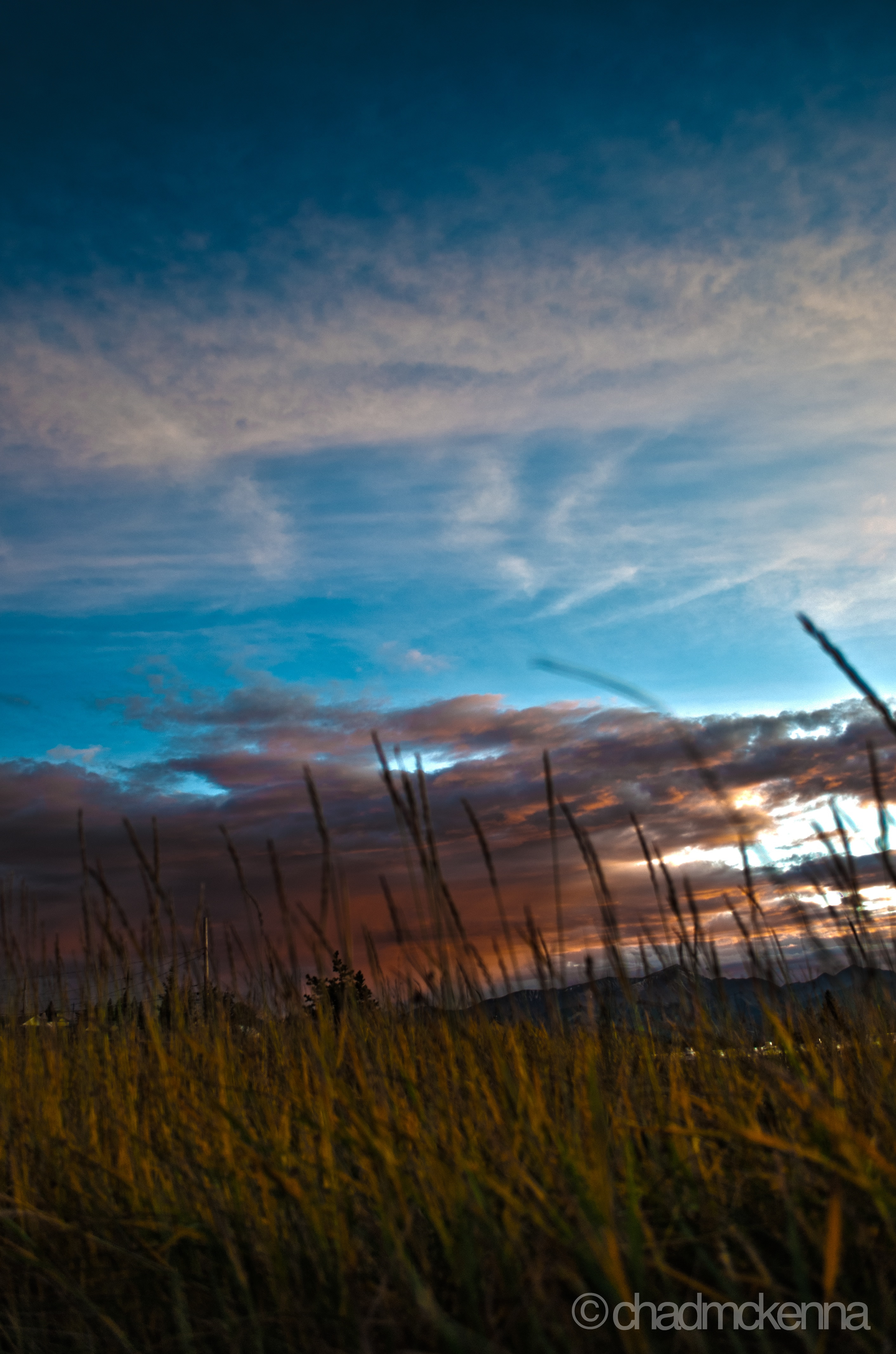 Field.