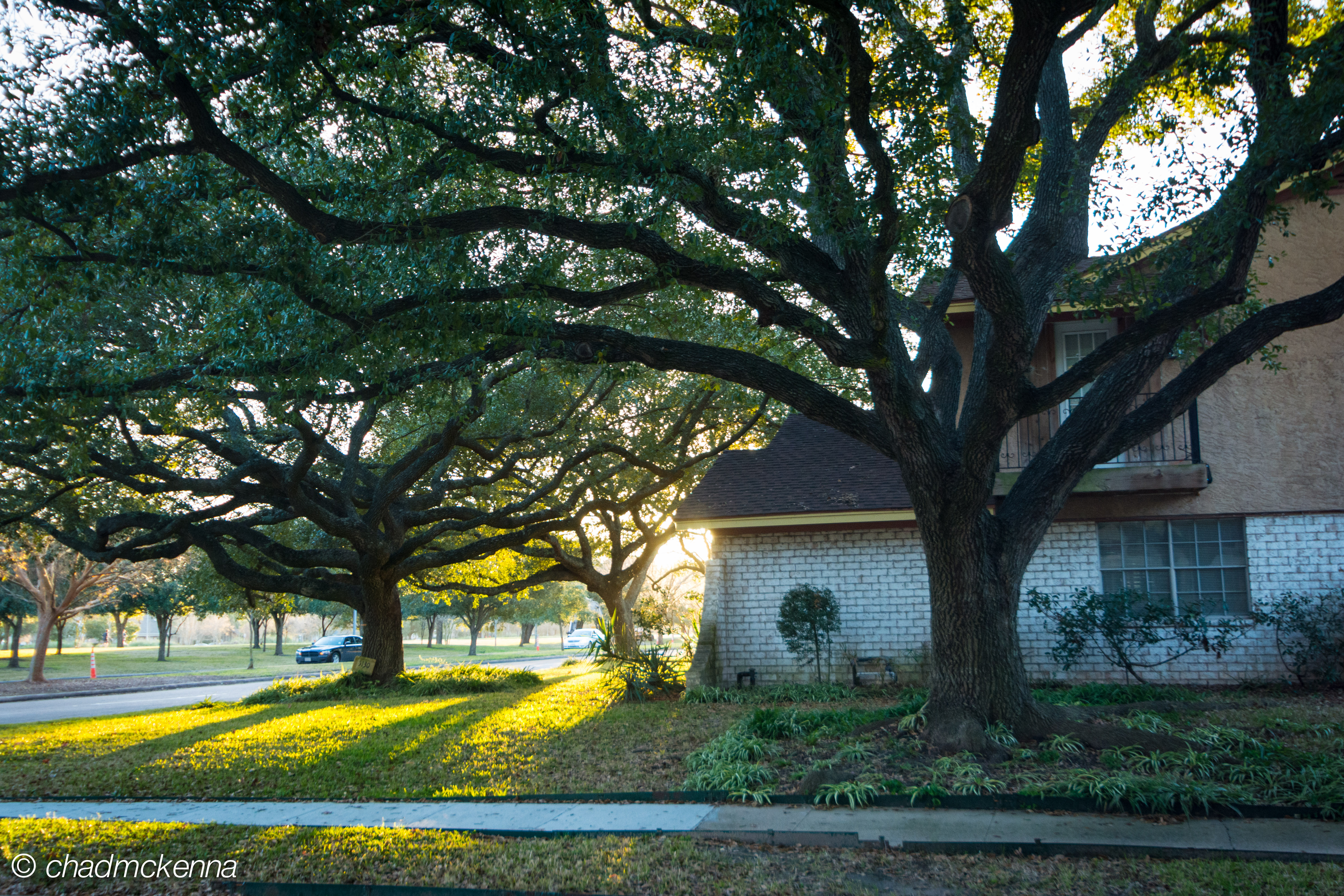 Houstonian House