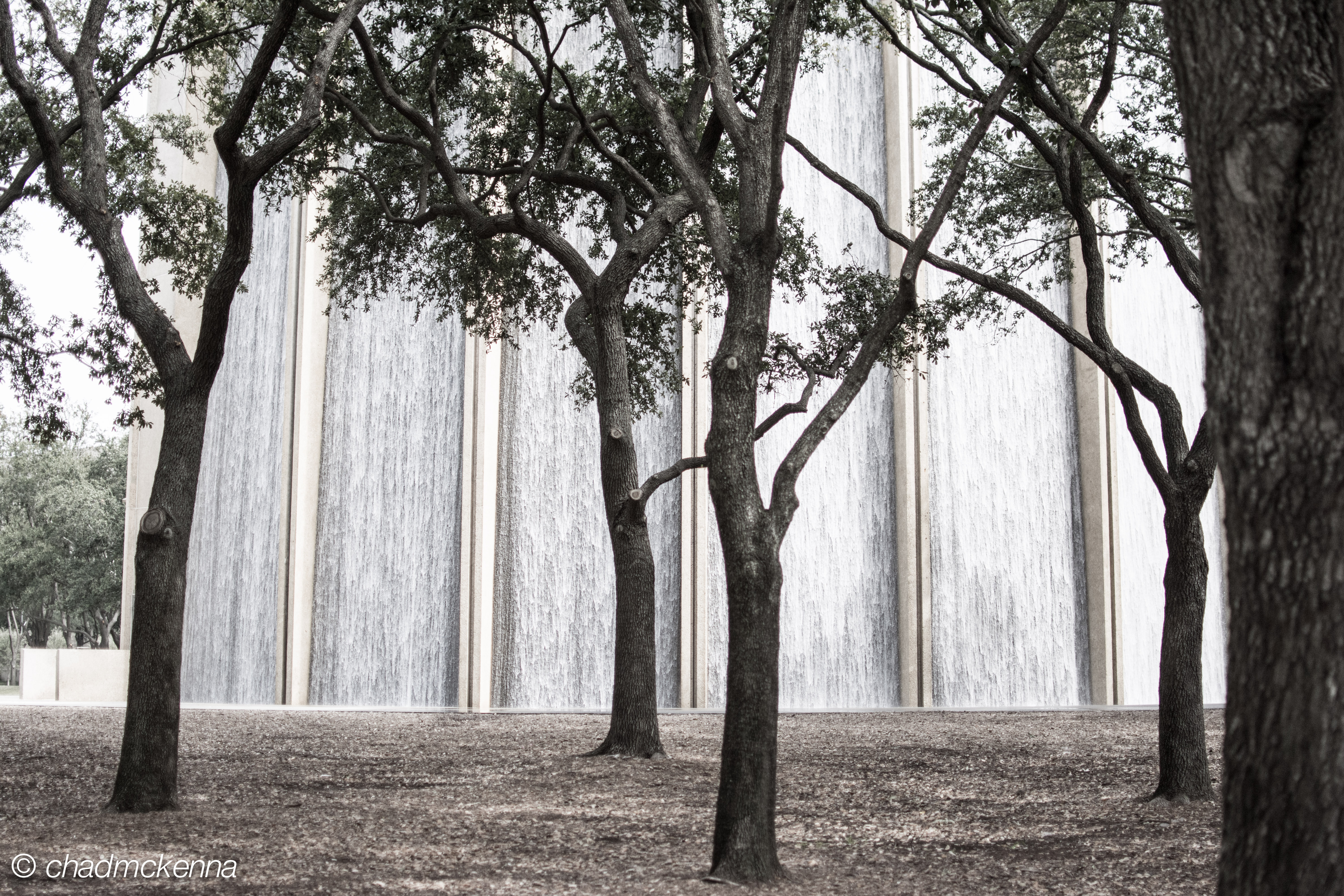 Trees and Water!