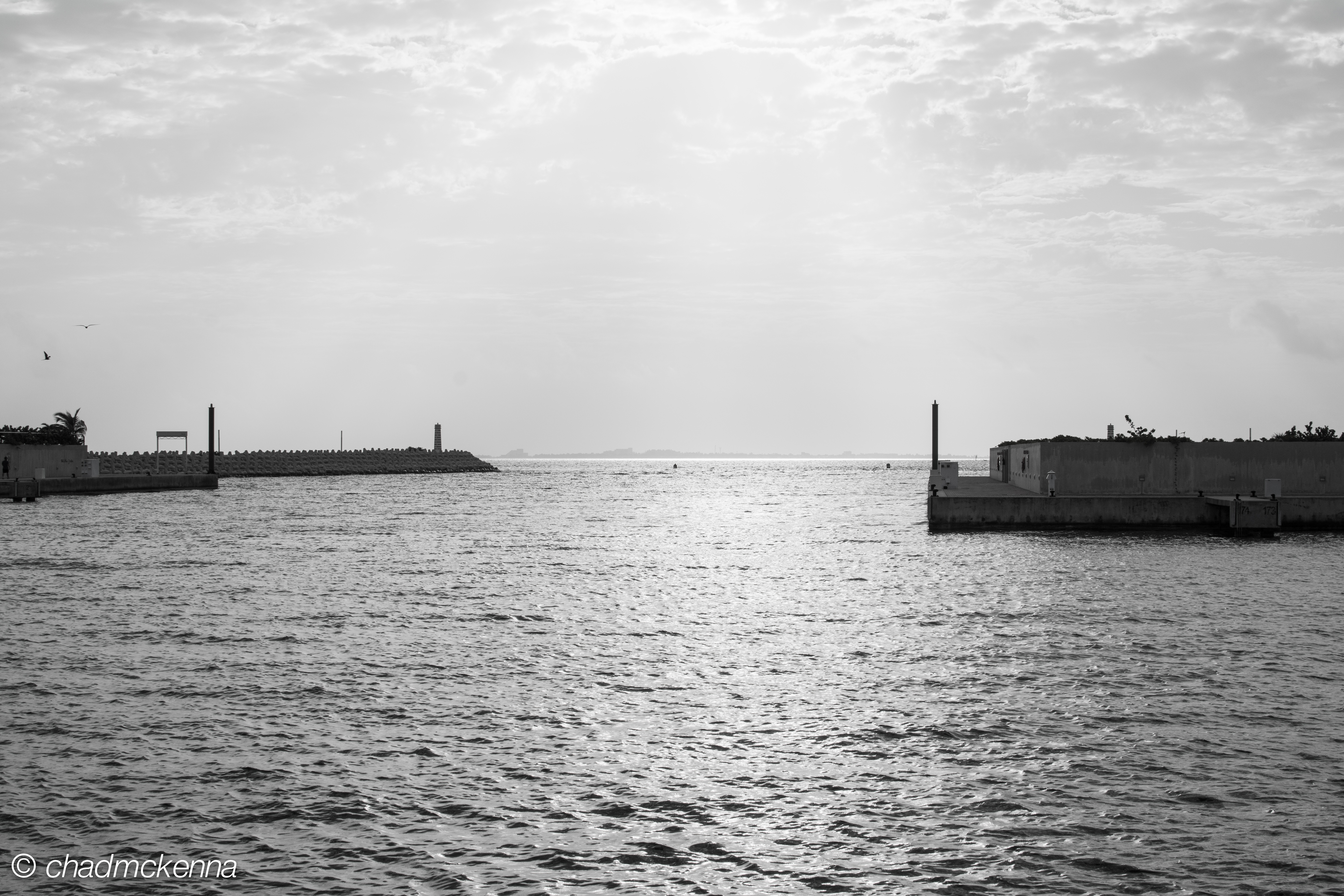 The marina