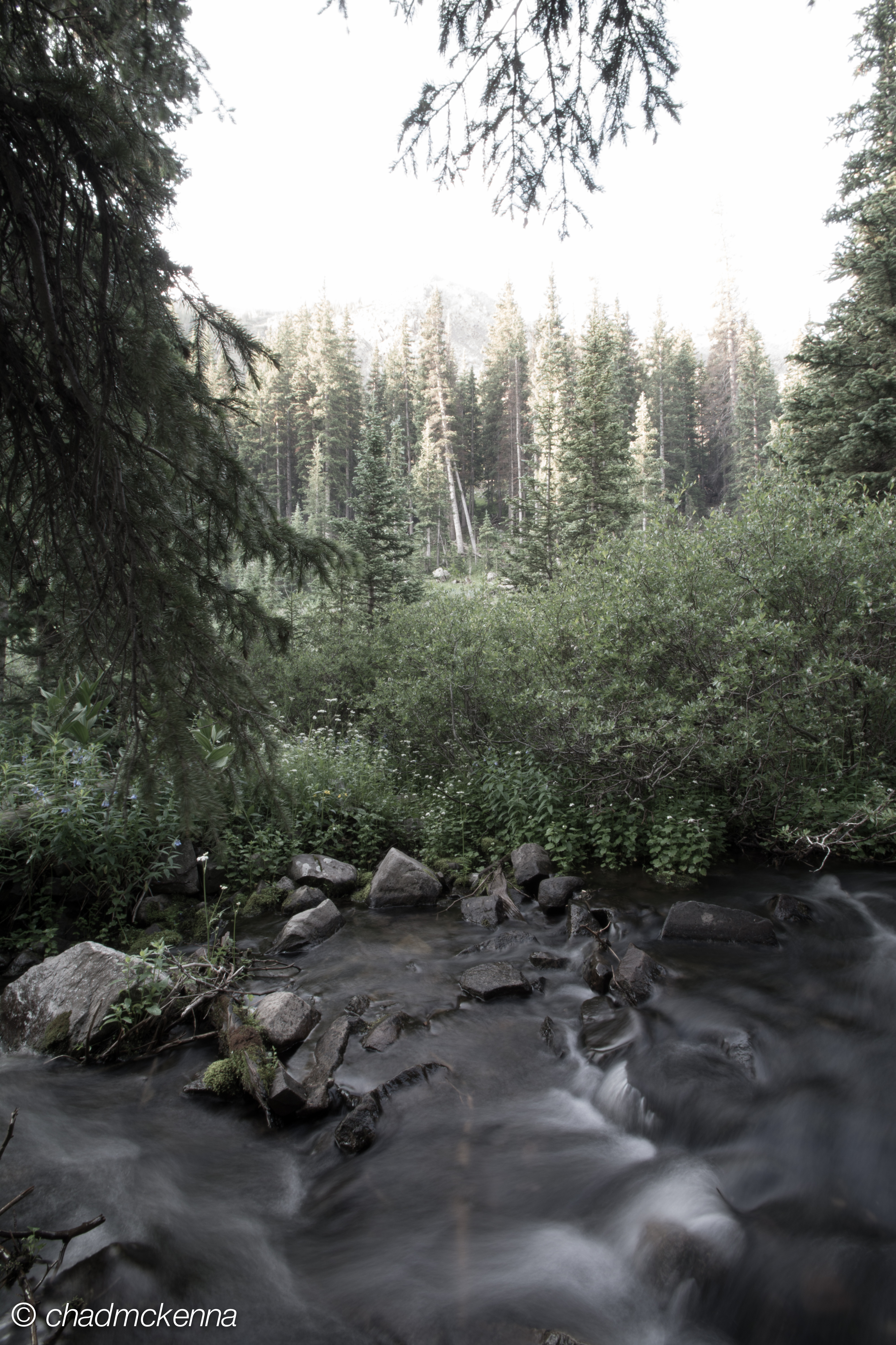 Creek next to camp