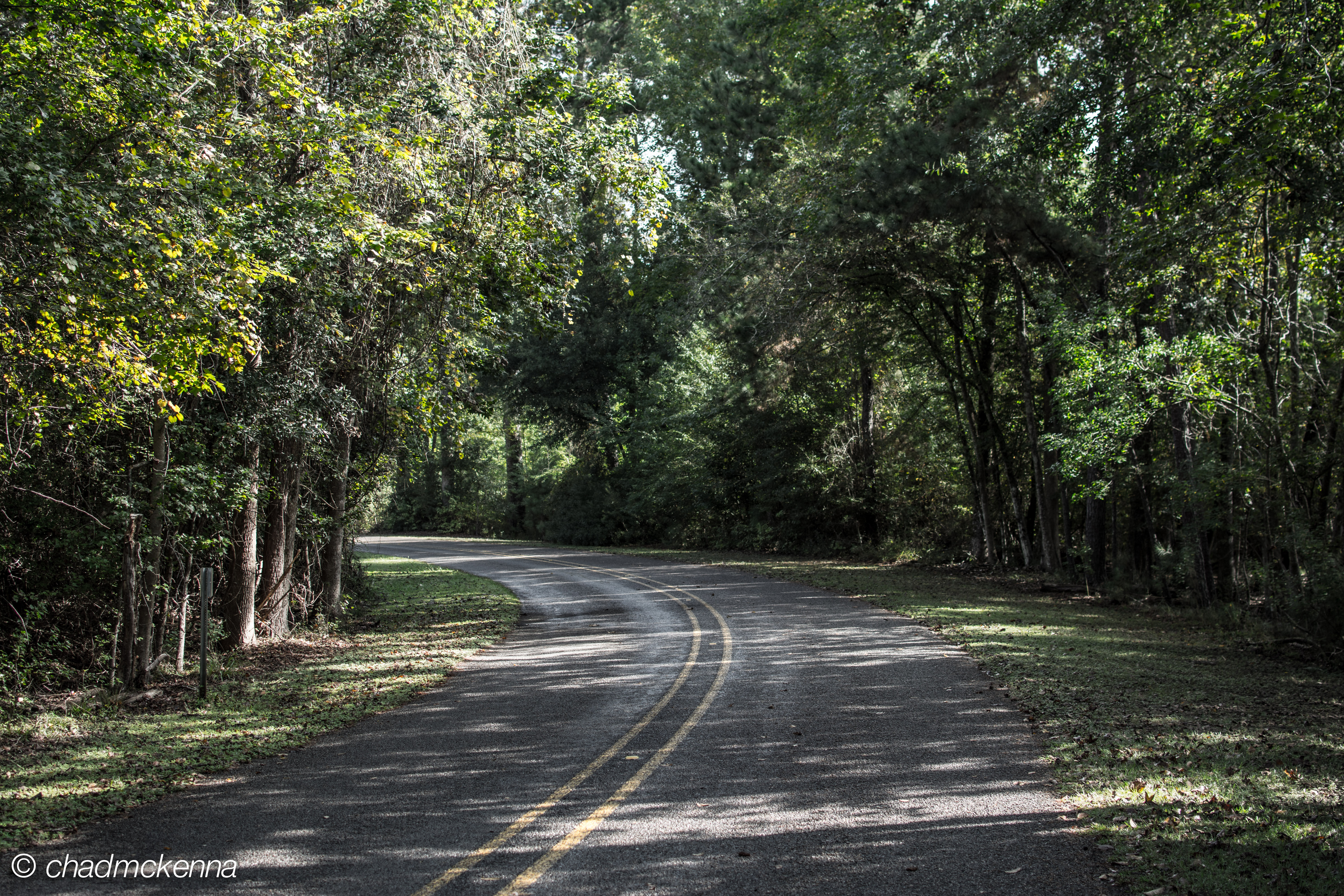 The road in