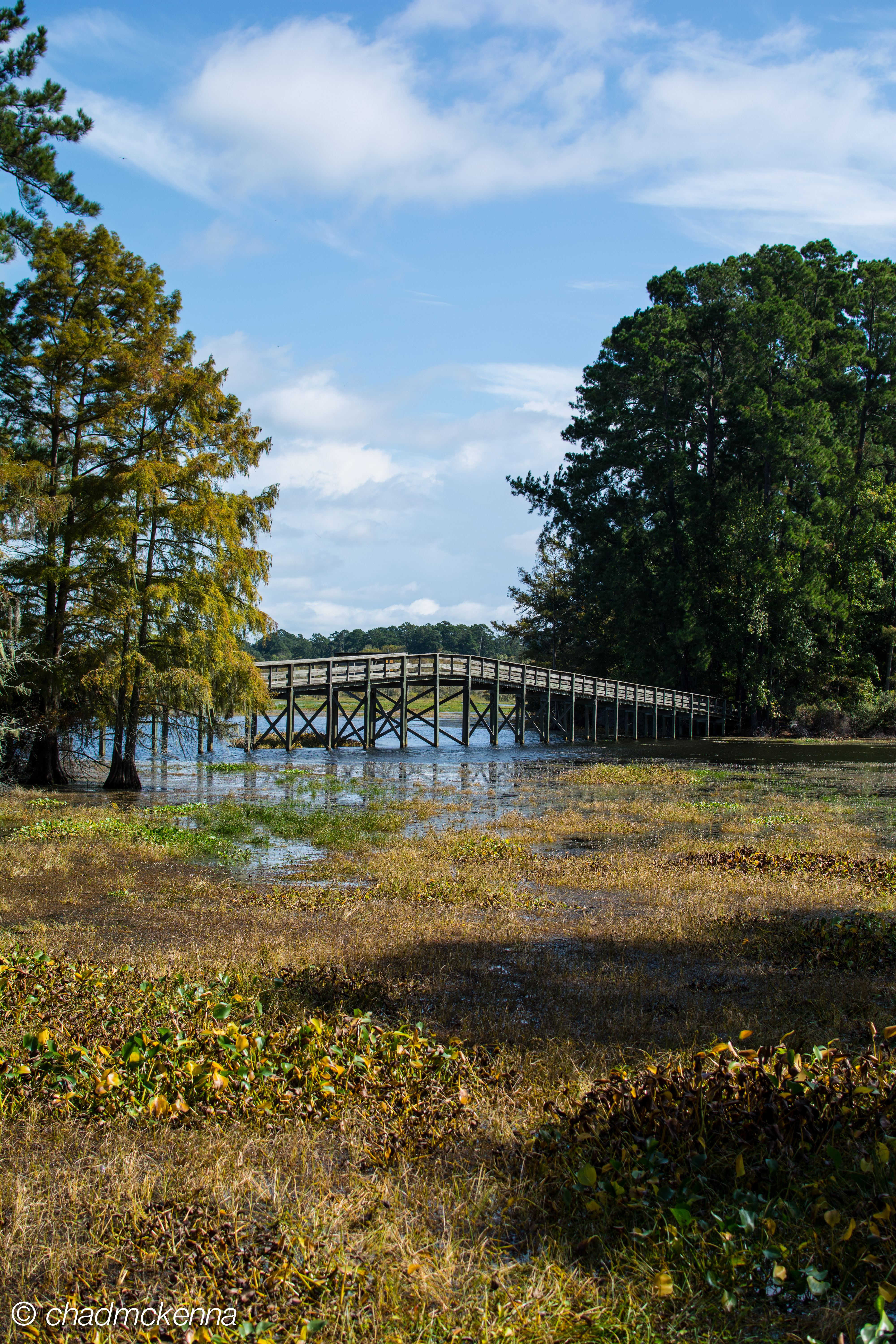 The bridge