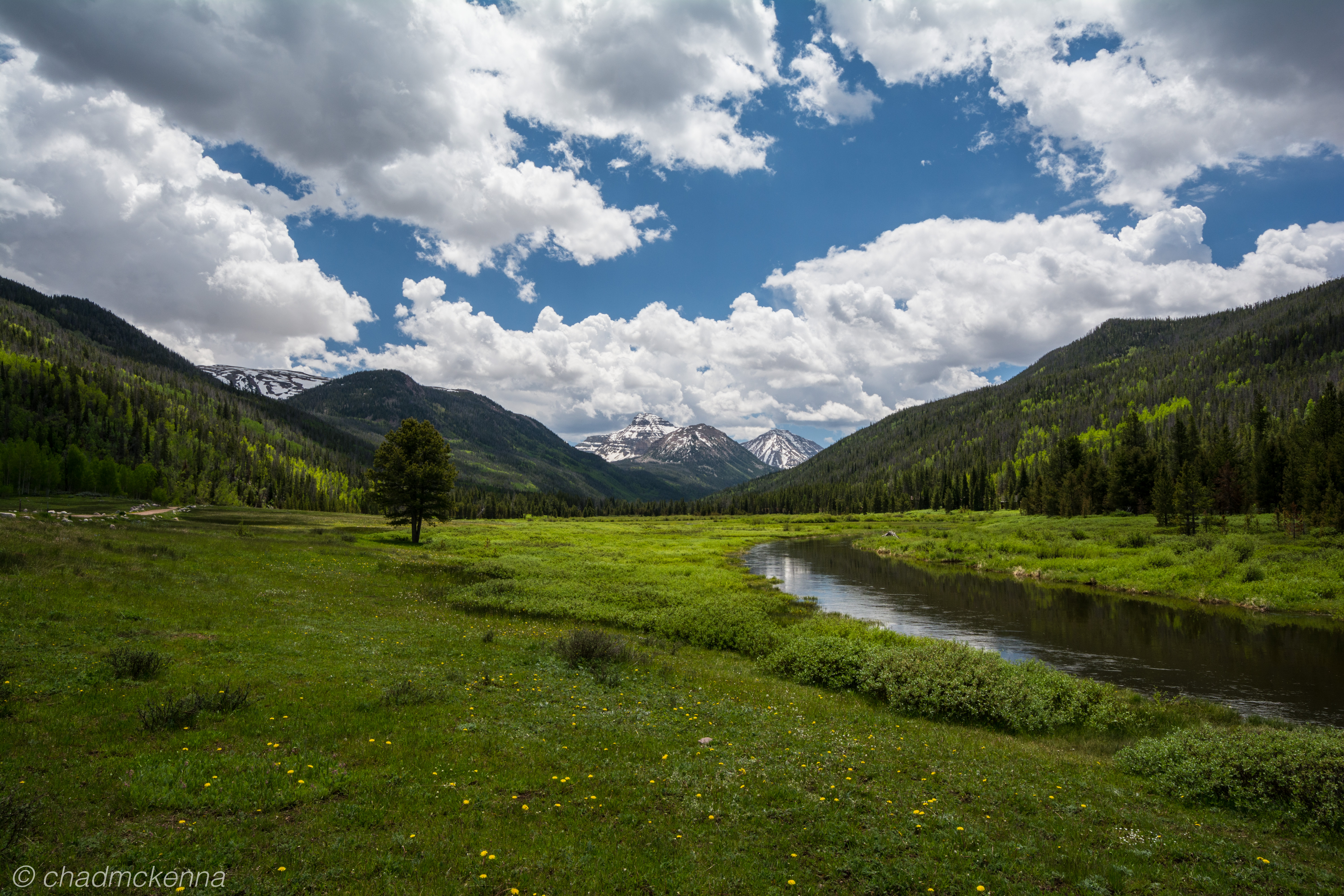 DSC_7304-2