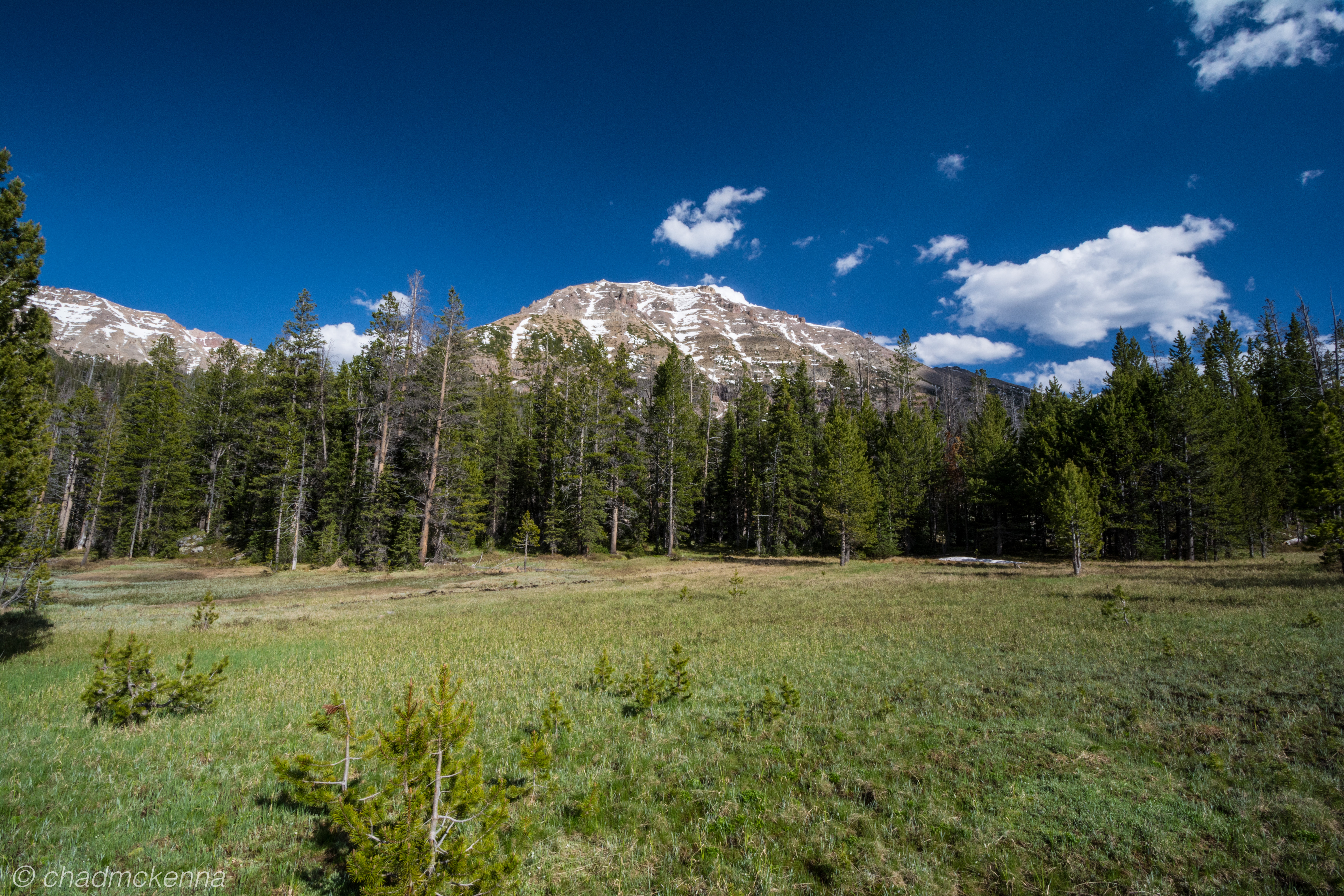 DSC_7331-6