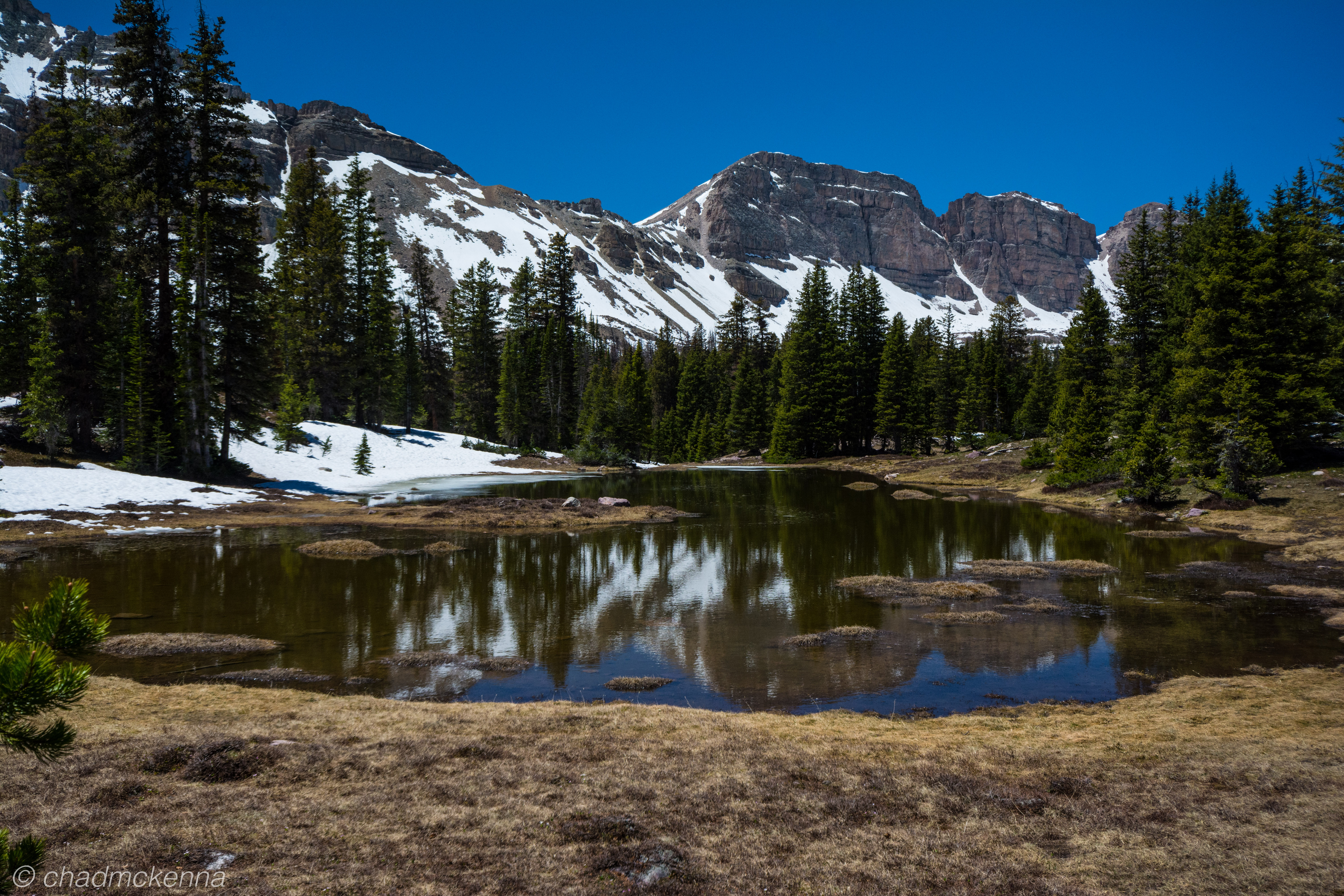 DSC_7348-7