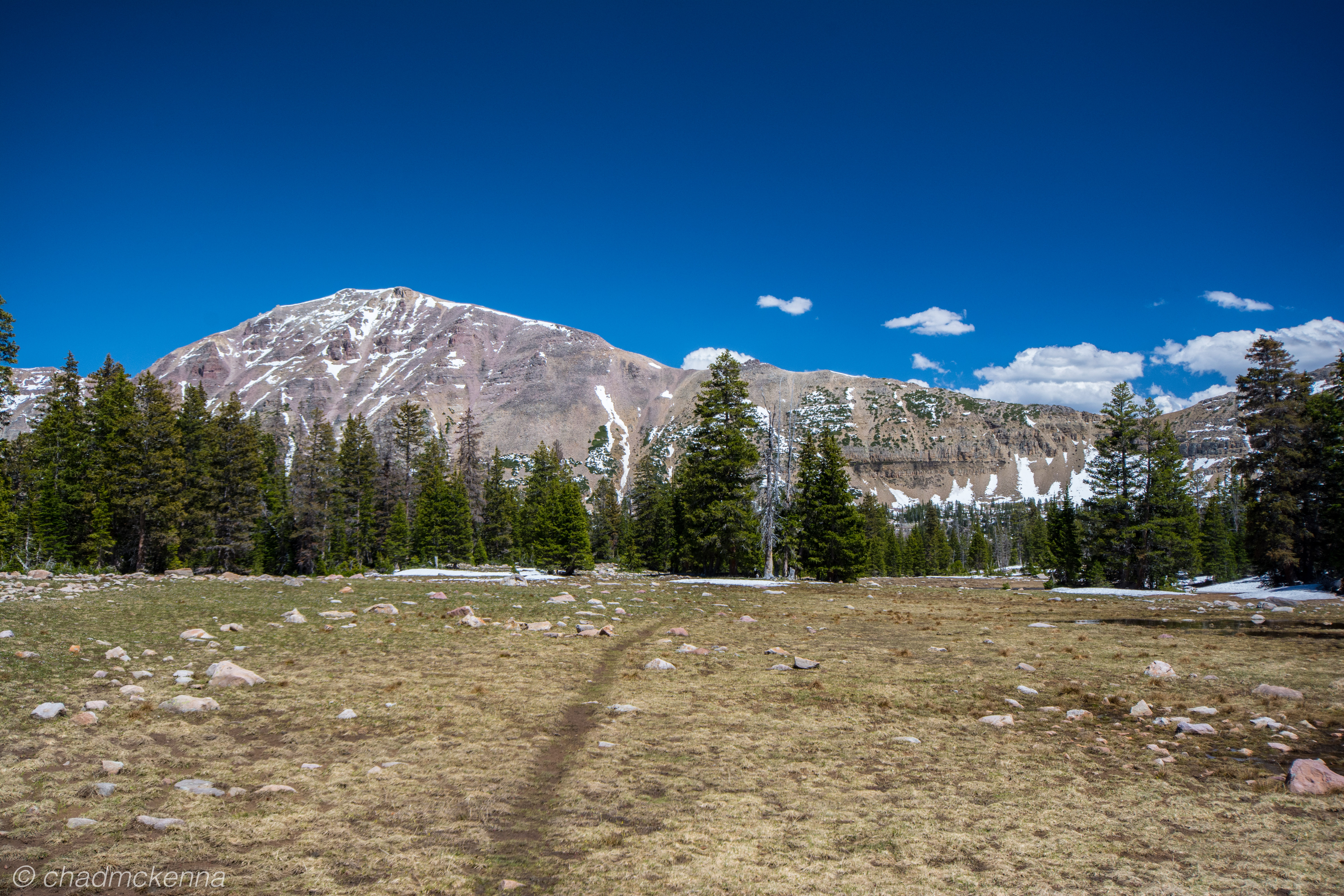 DSC_7375-10