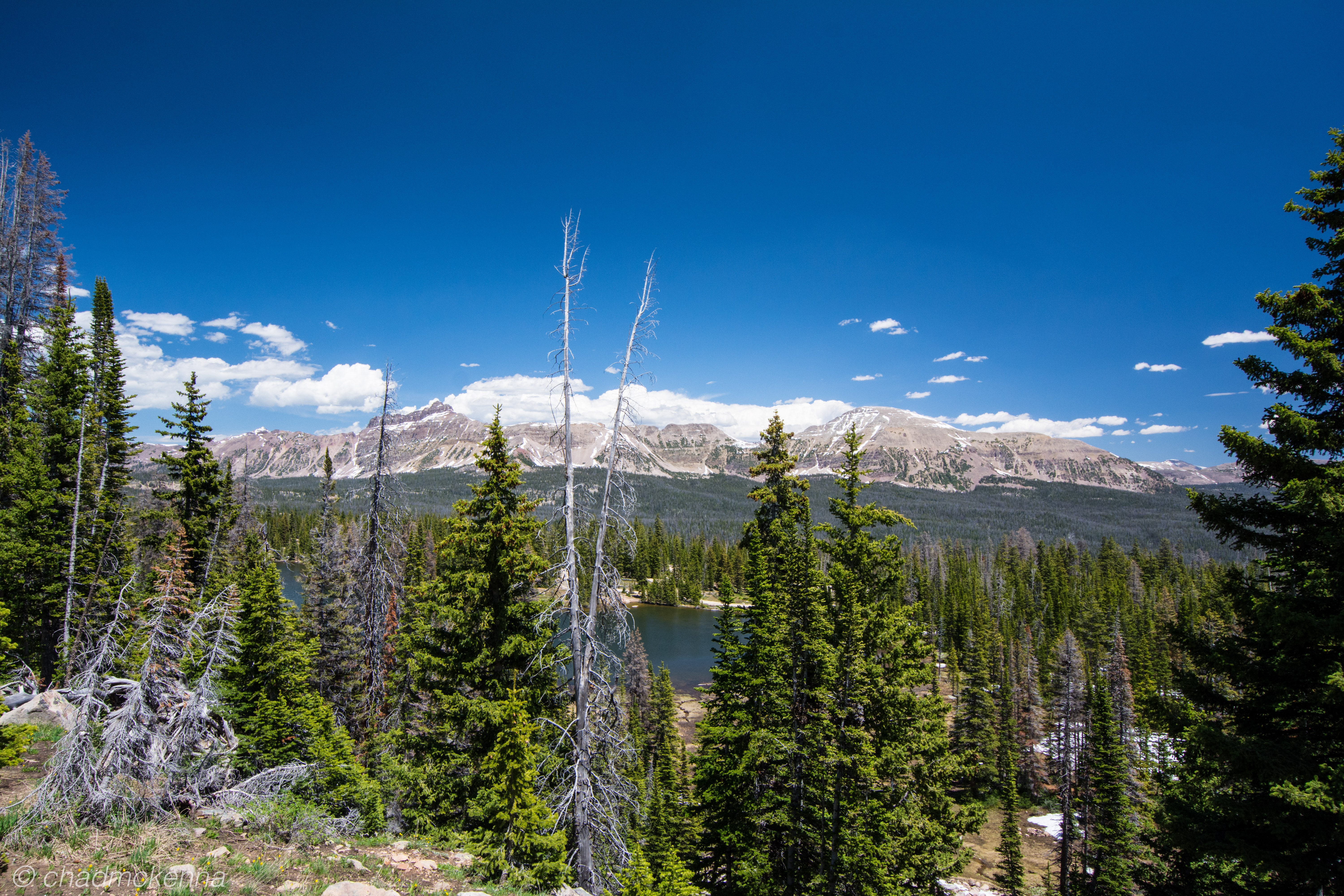 DSC_7416-13