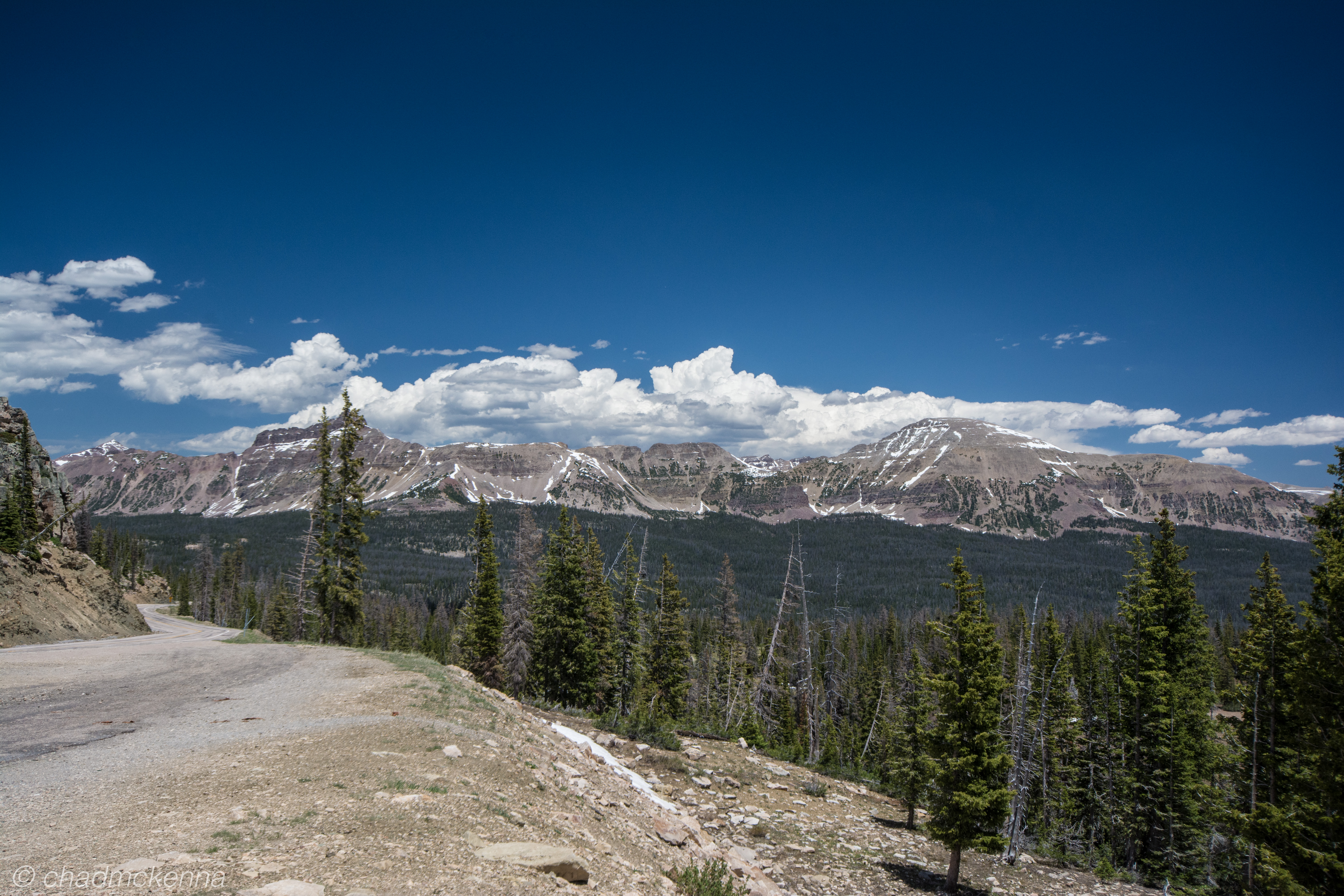 DSC_7427-14