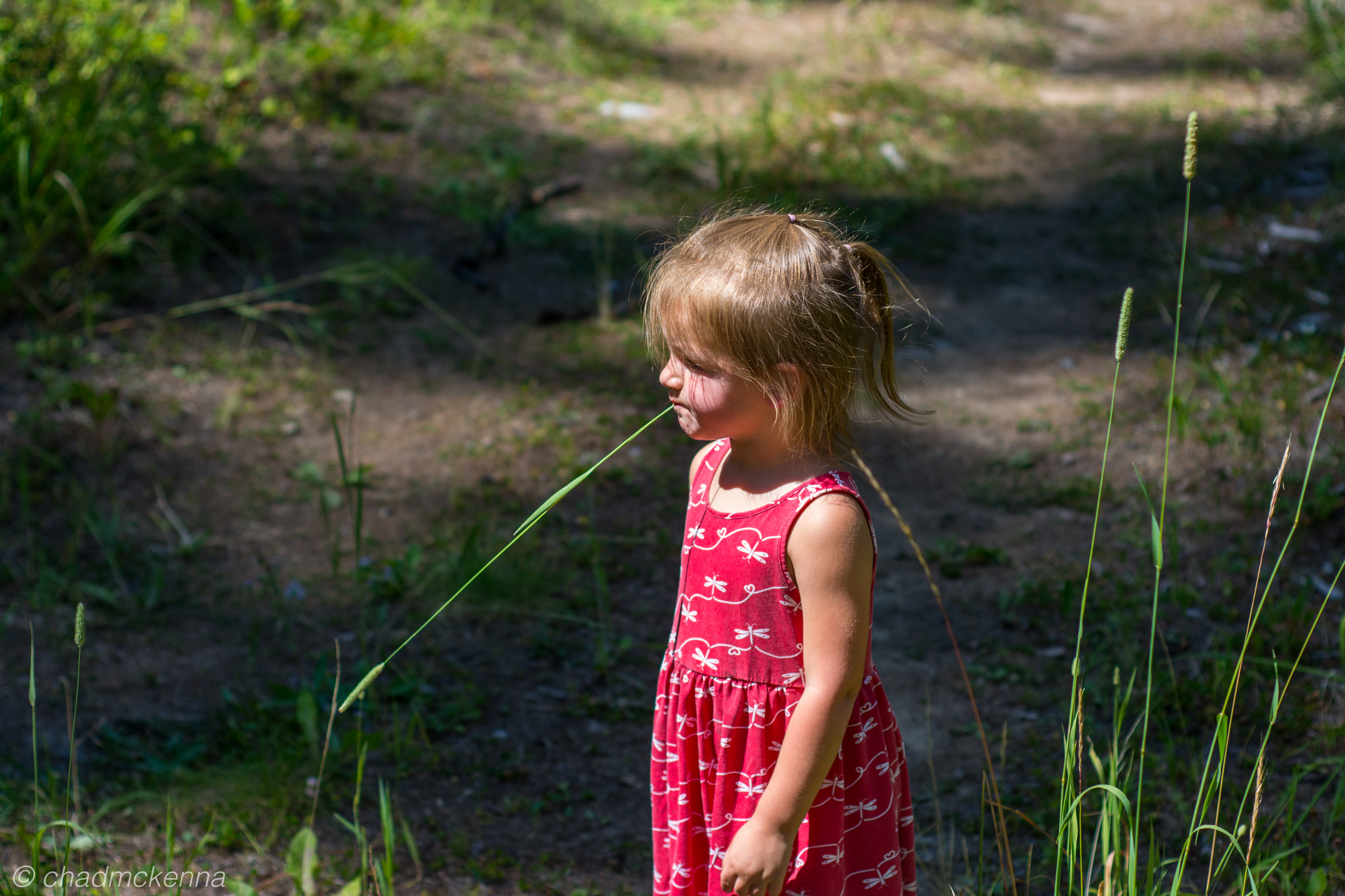 20150801-DSC_7987-19