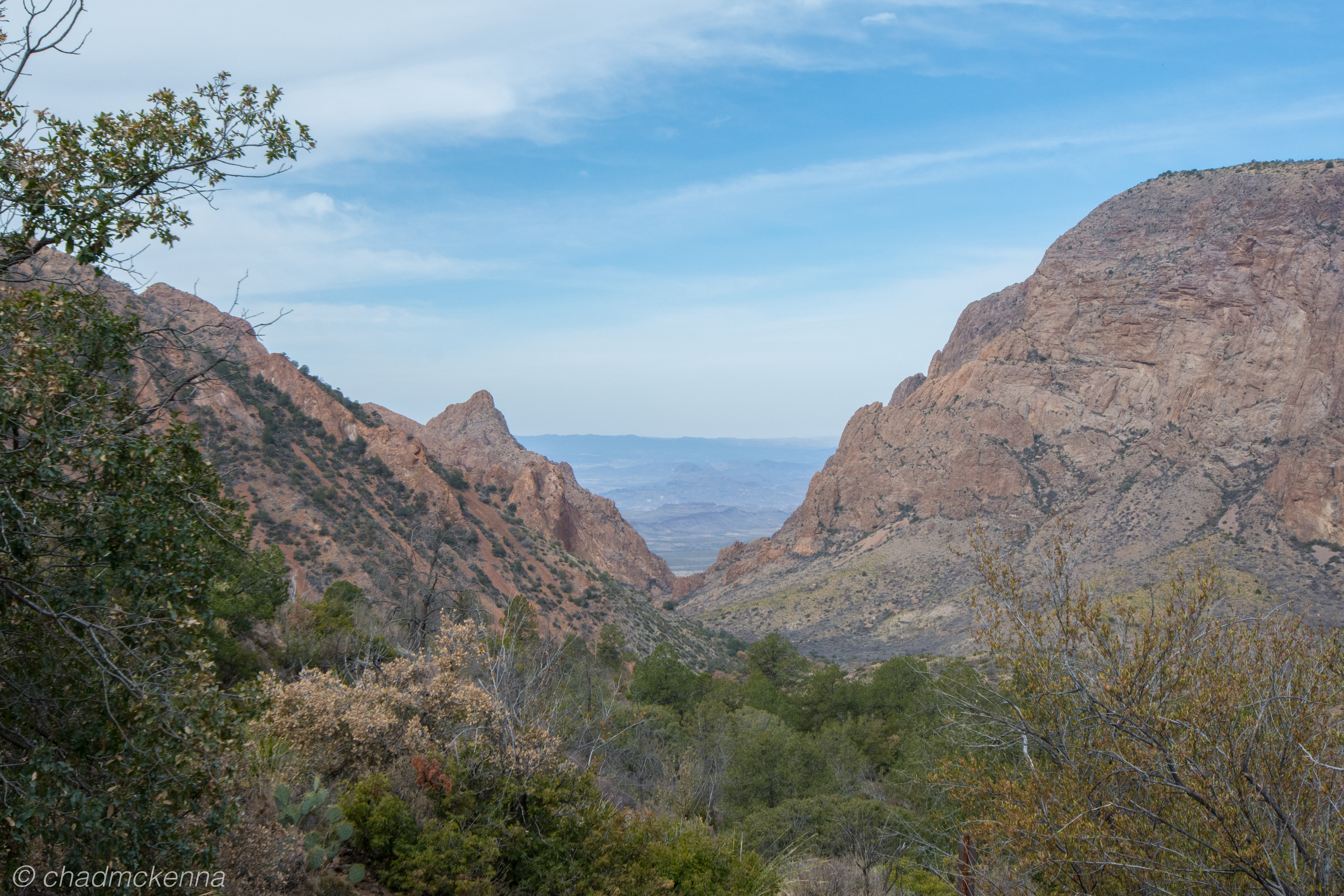 DSC_9355-40