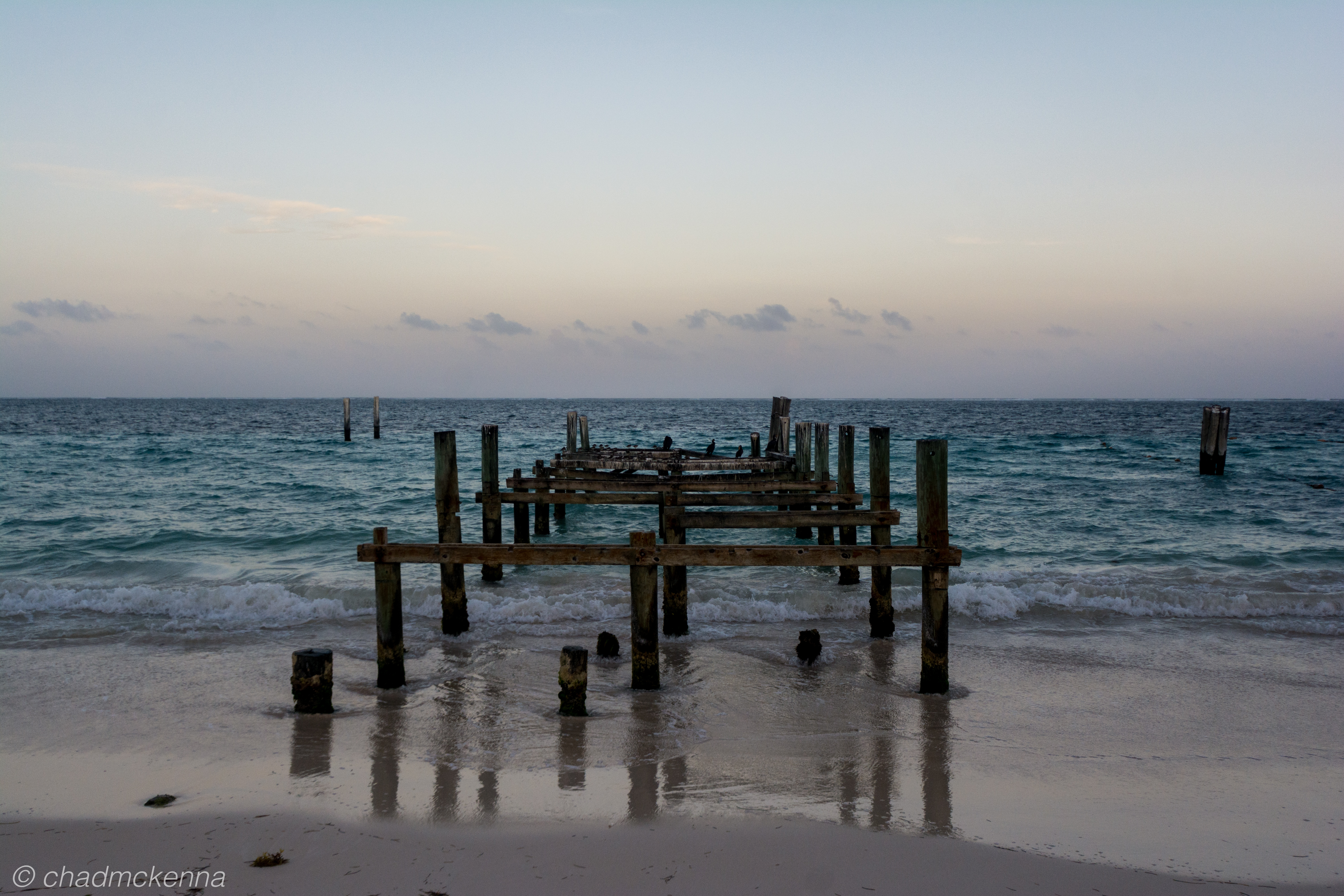 DSC_9403-2