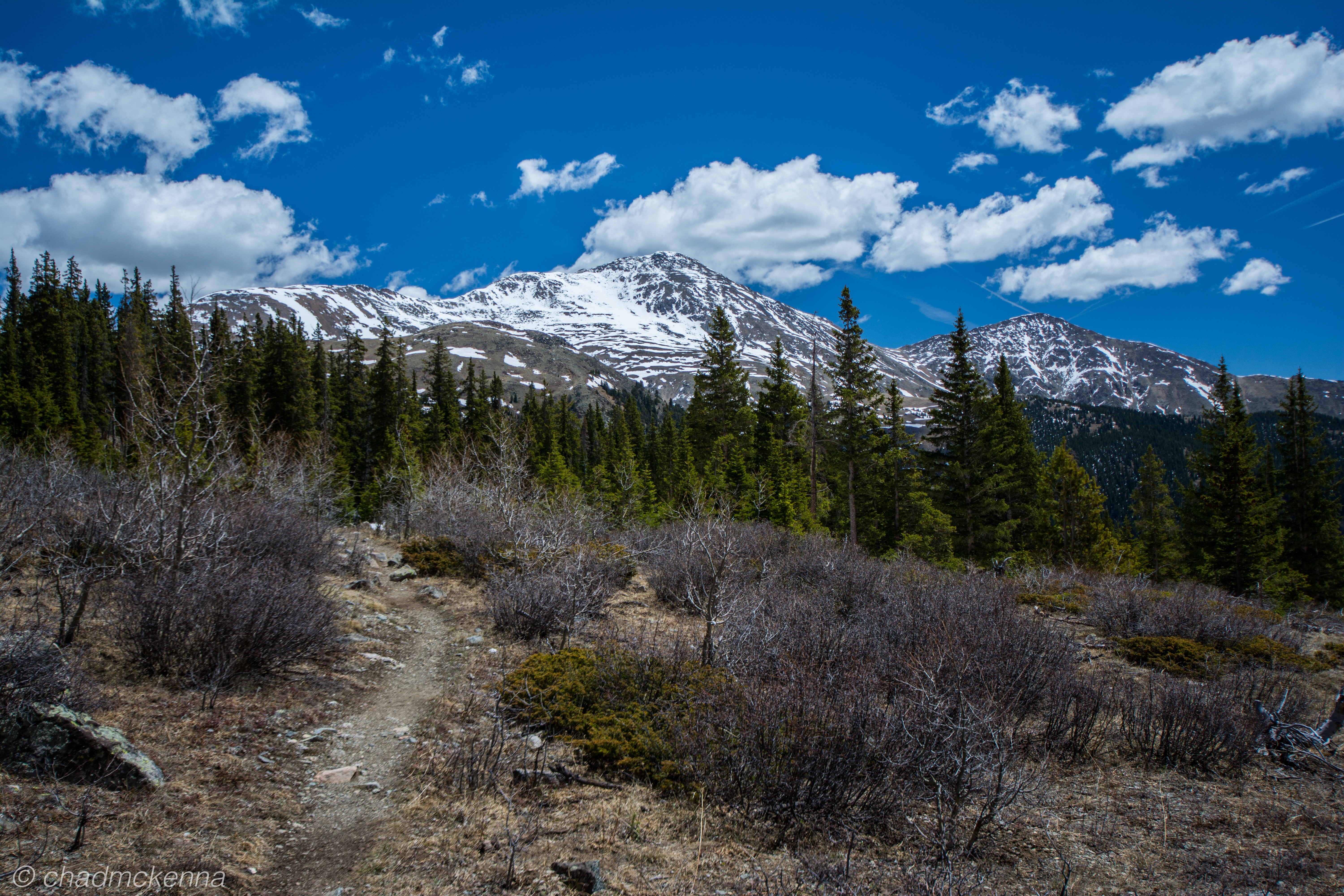 DSC_9721-22