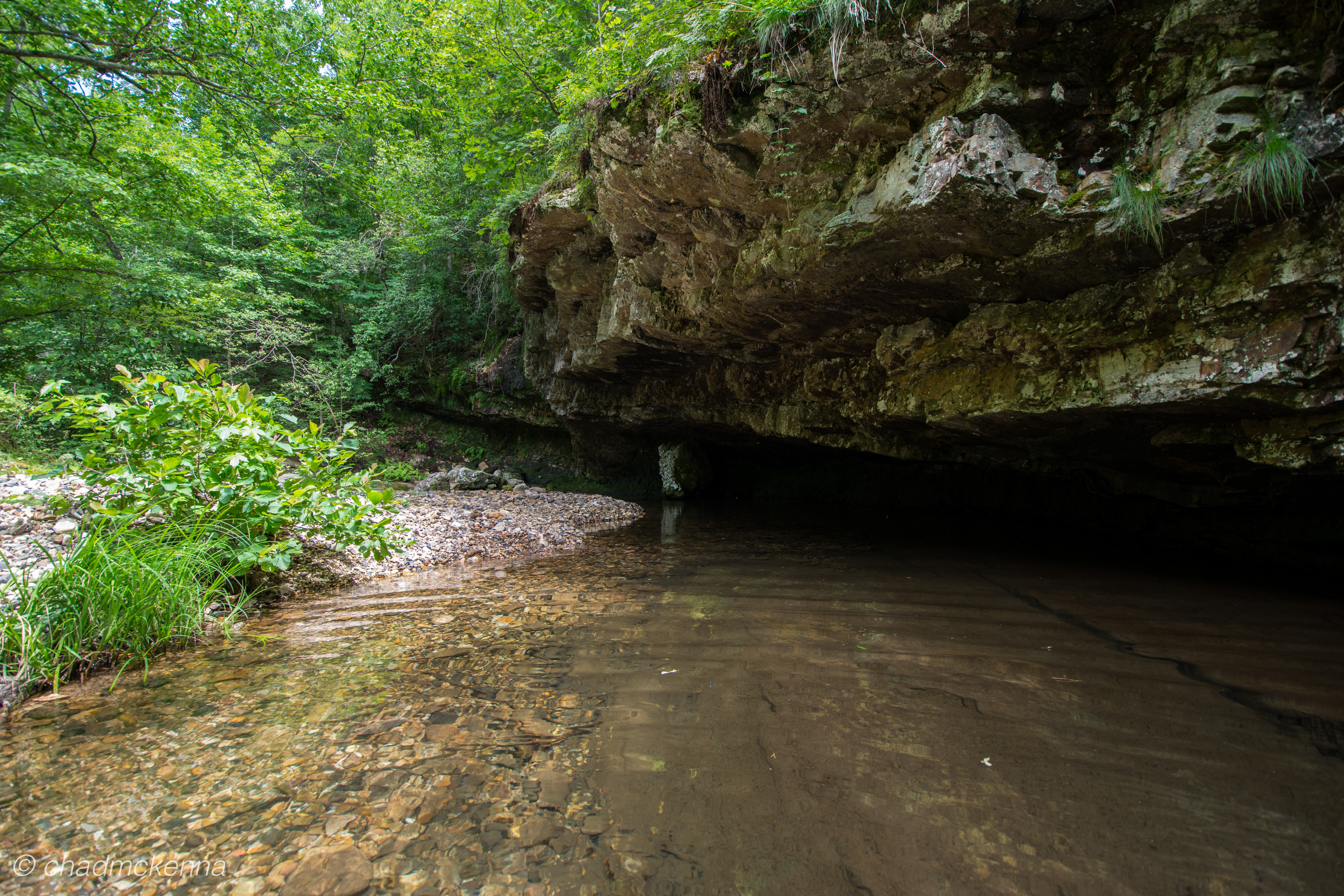 DSC_0060-16