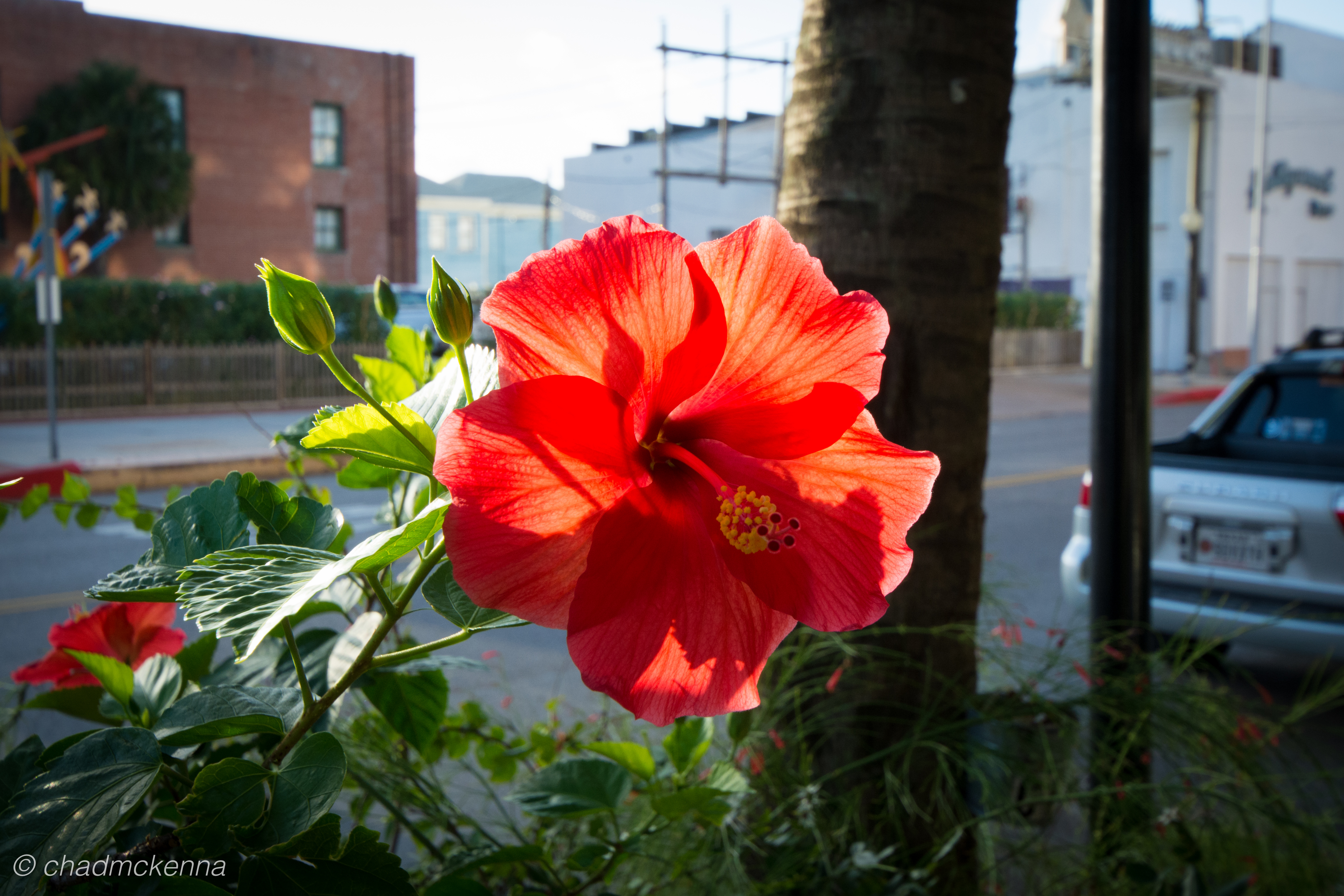 DSC_0628-12