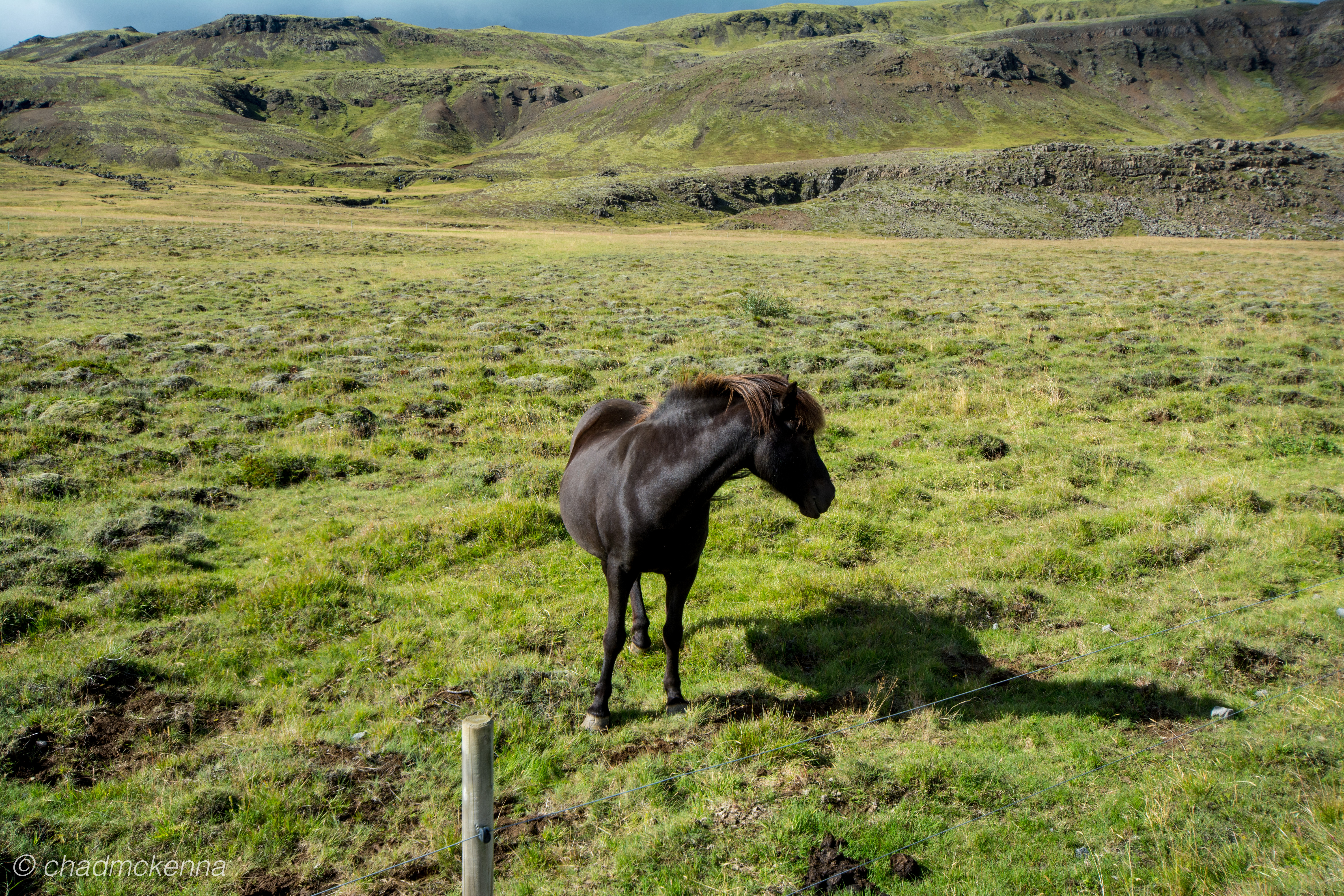 dsc_0997-4