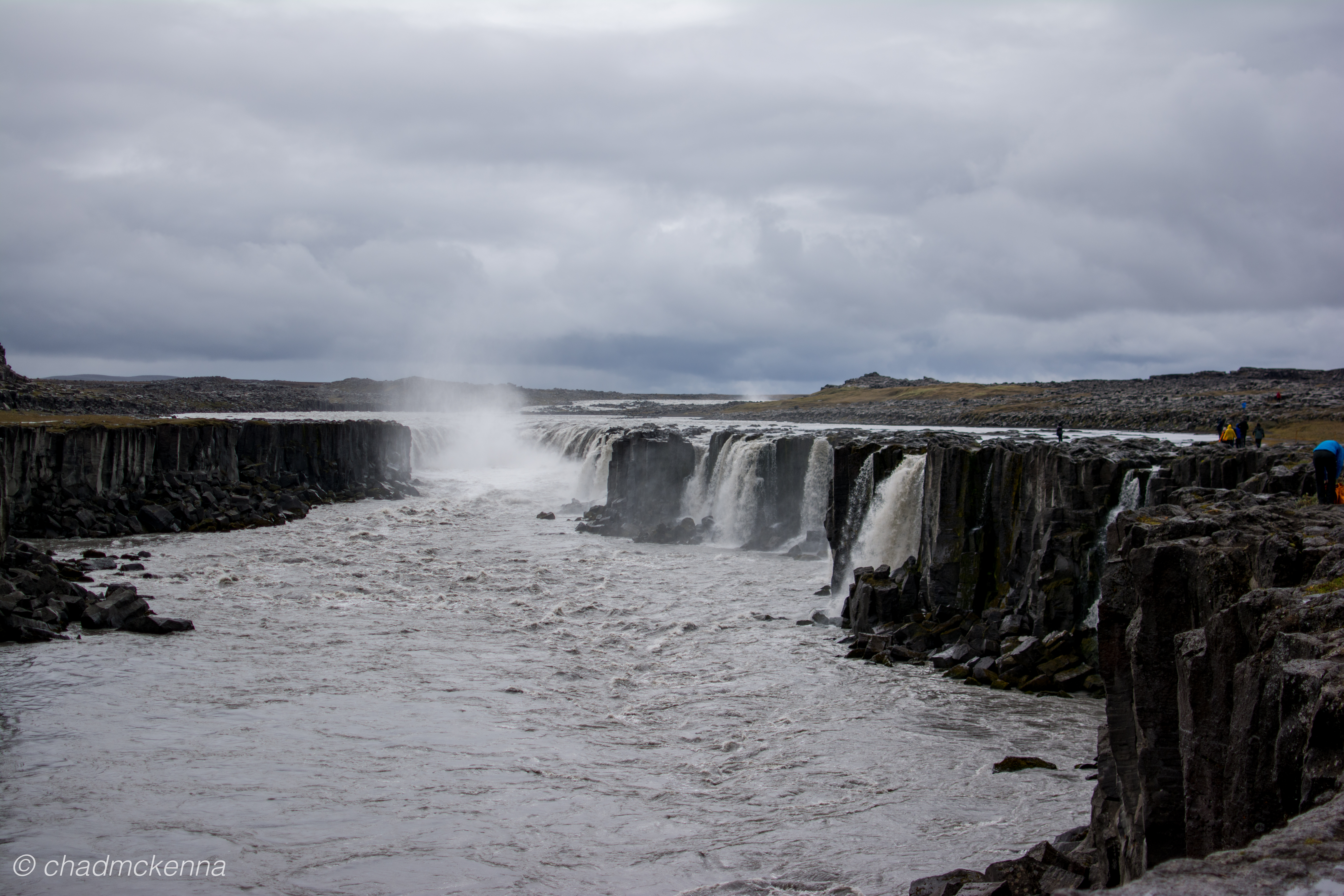 dsc_1955-7
