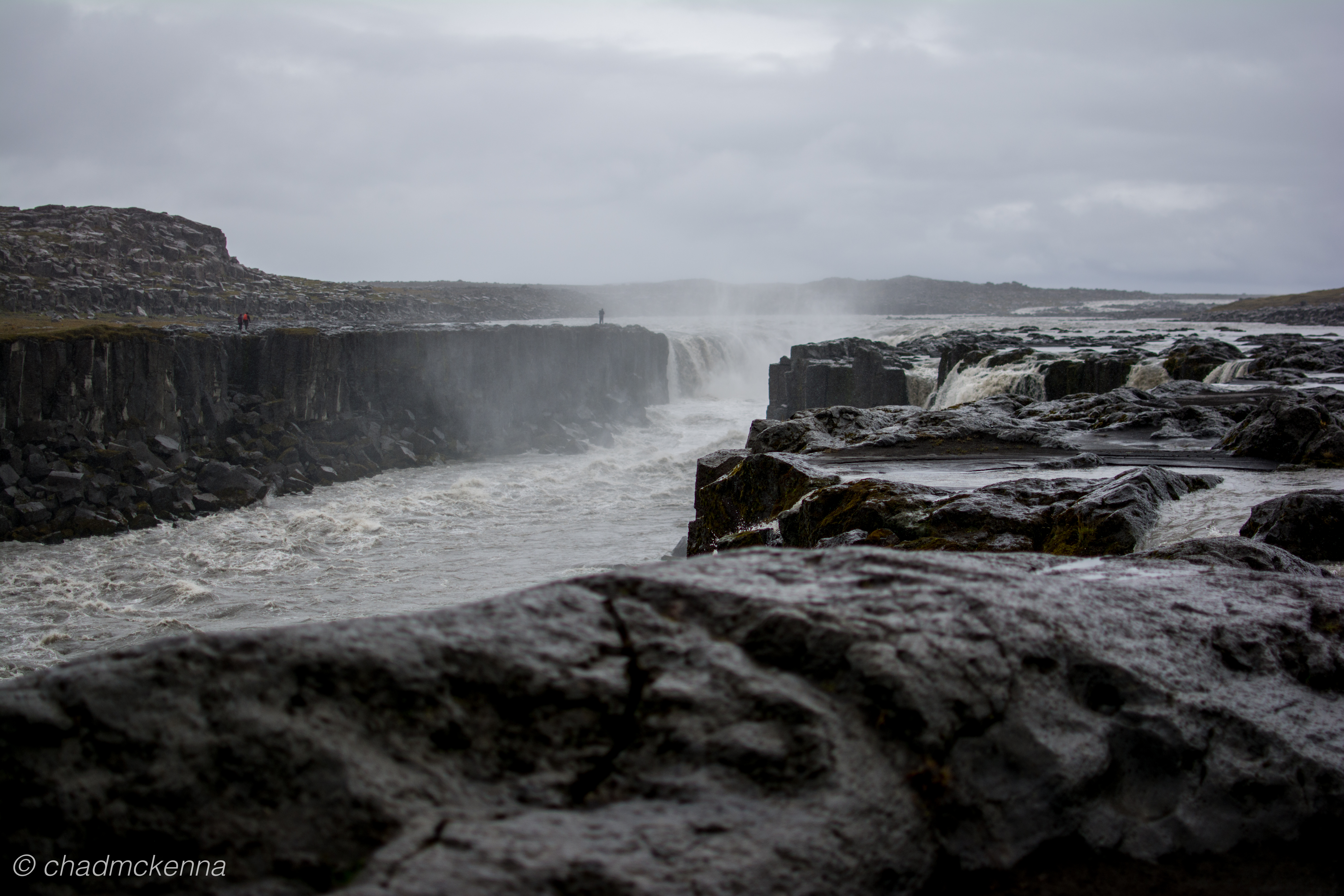 dsc_1974-8