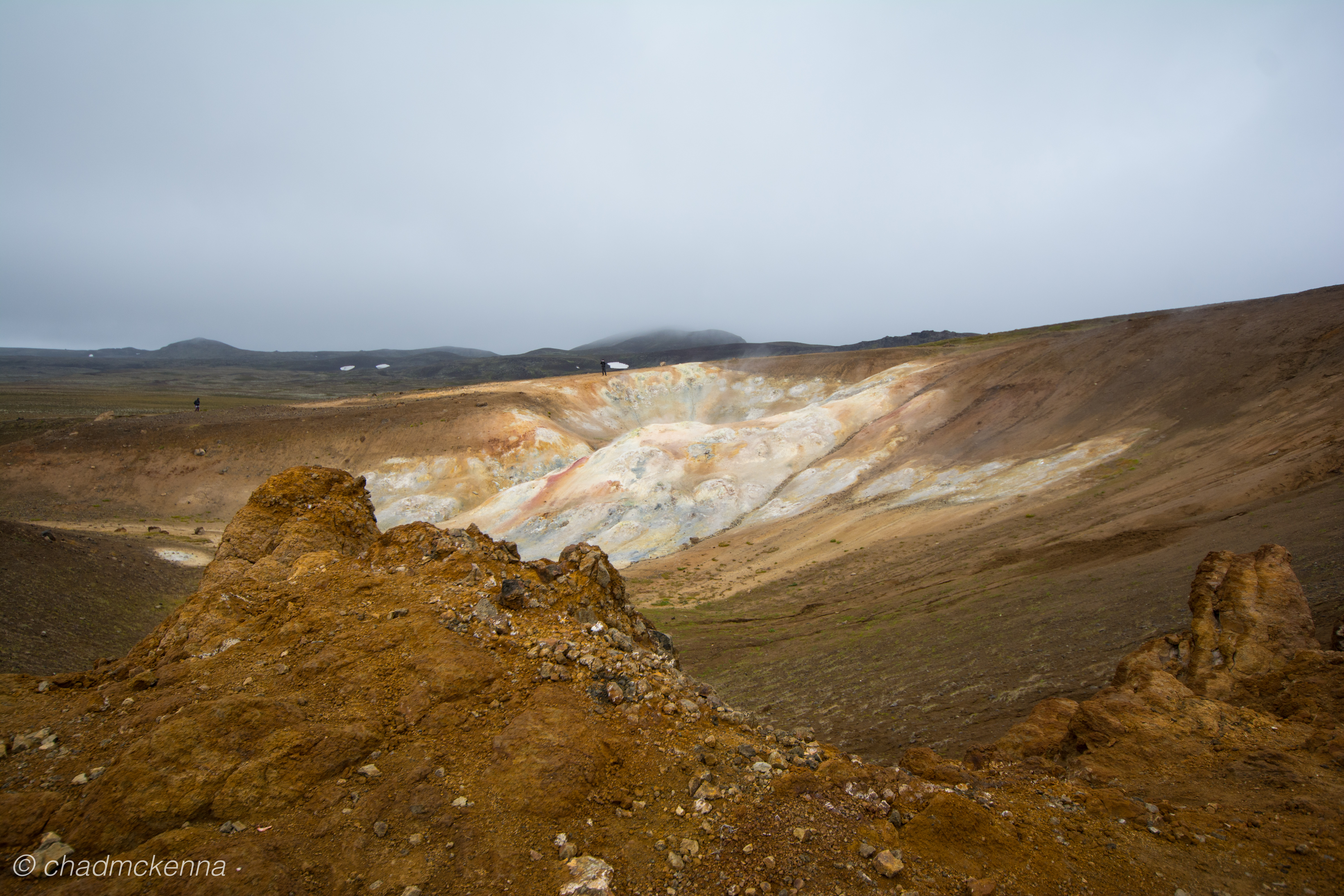 dsc_1993-10