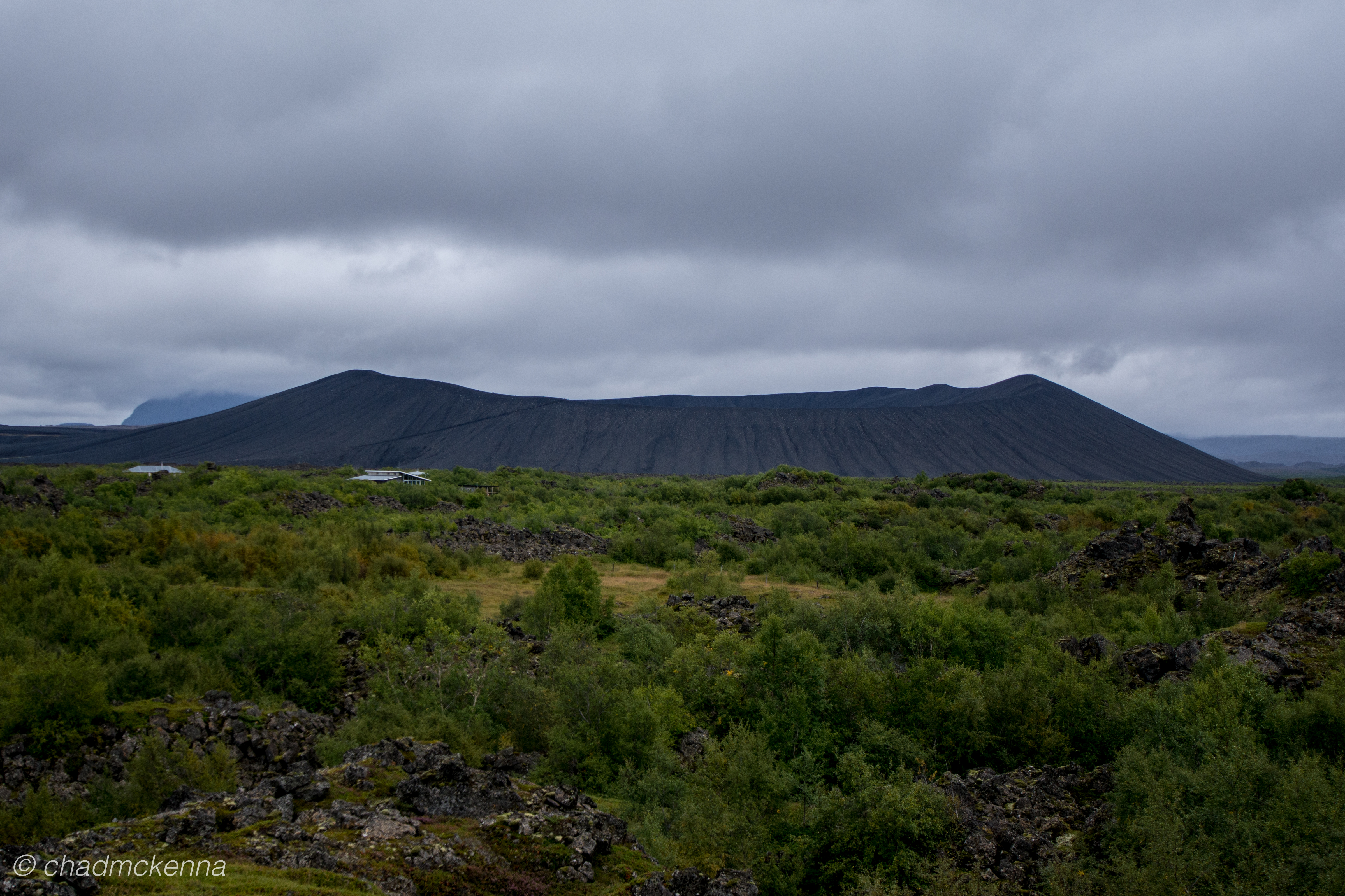 dsc_2010-12