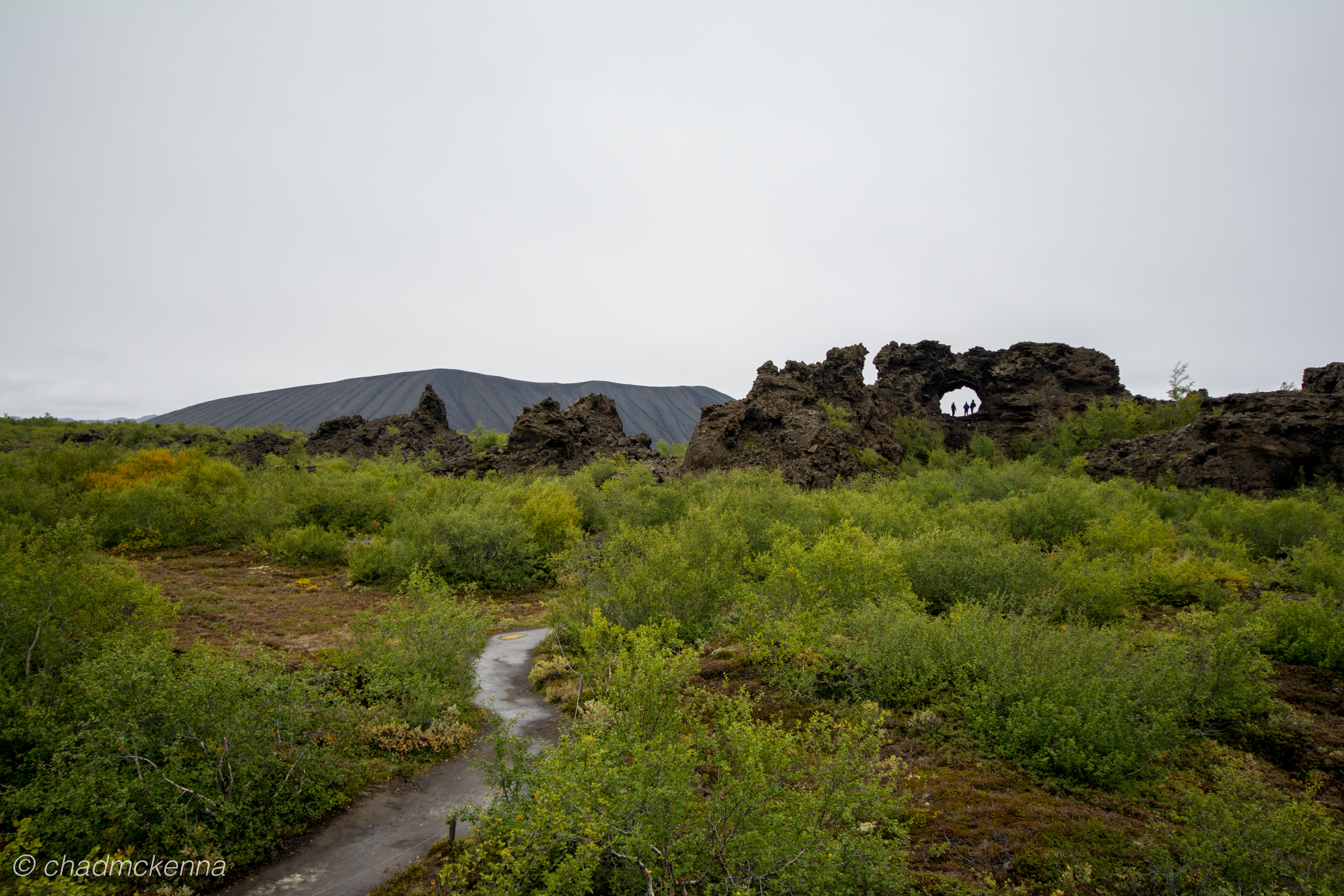 dsc_2027-15
