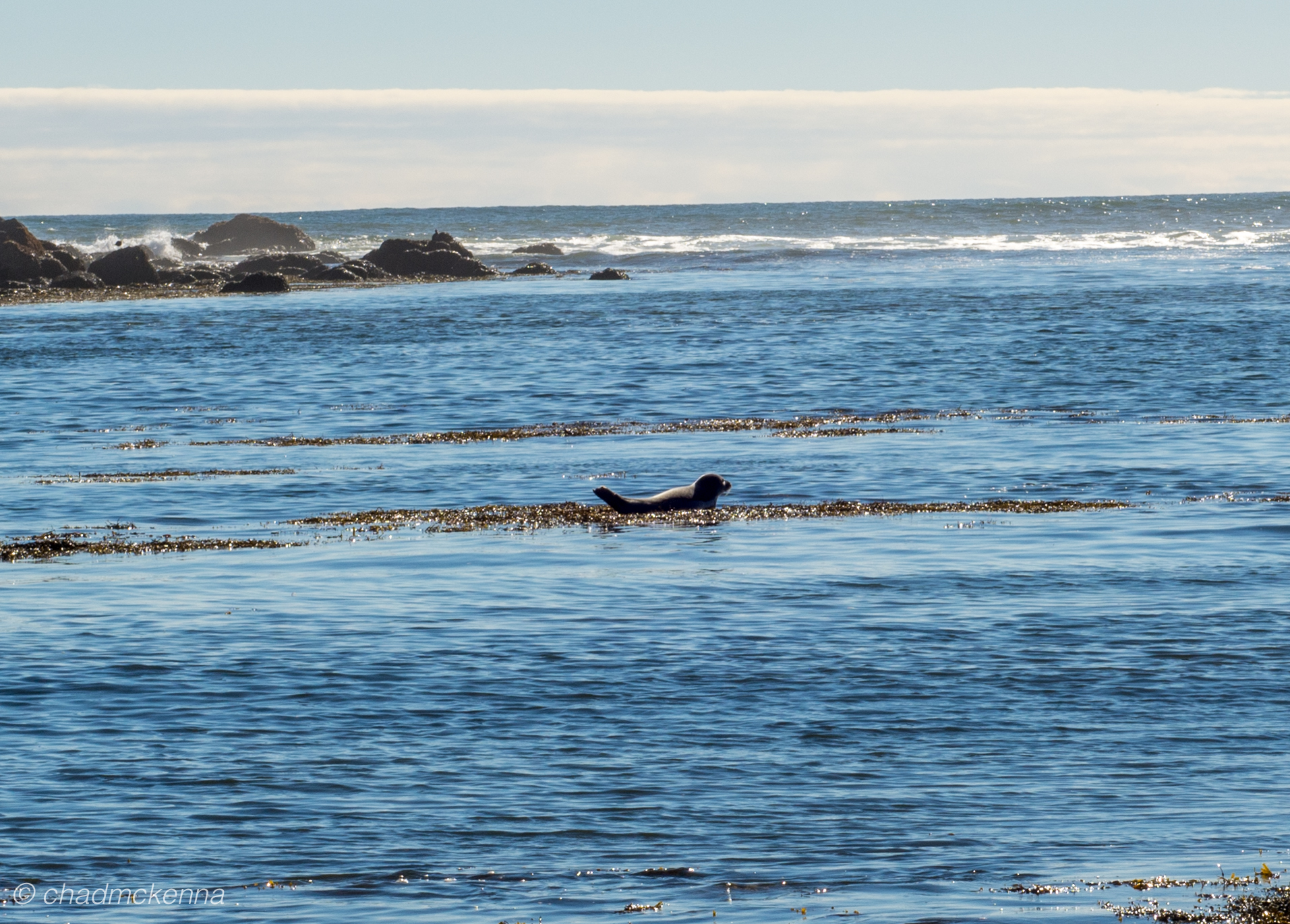 dsc_2689-21