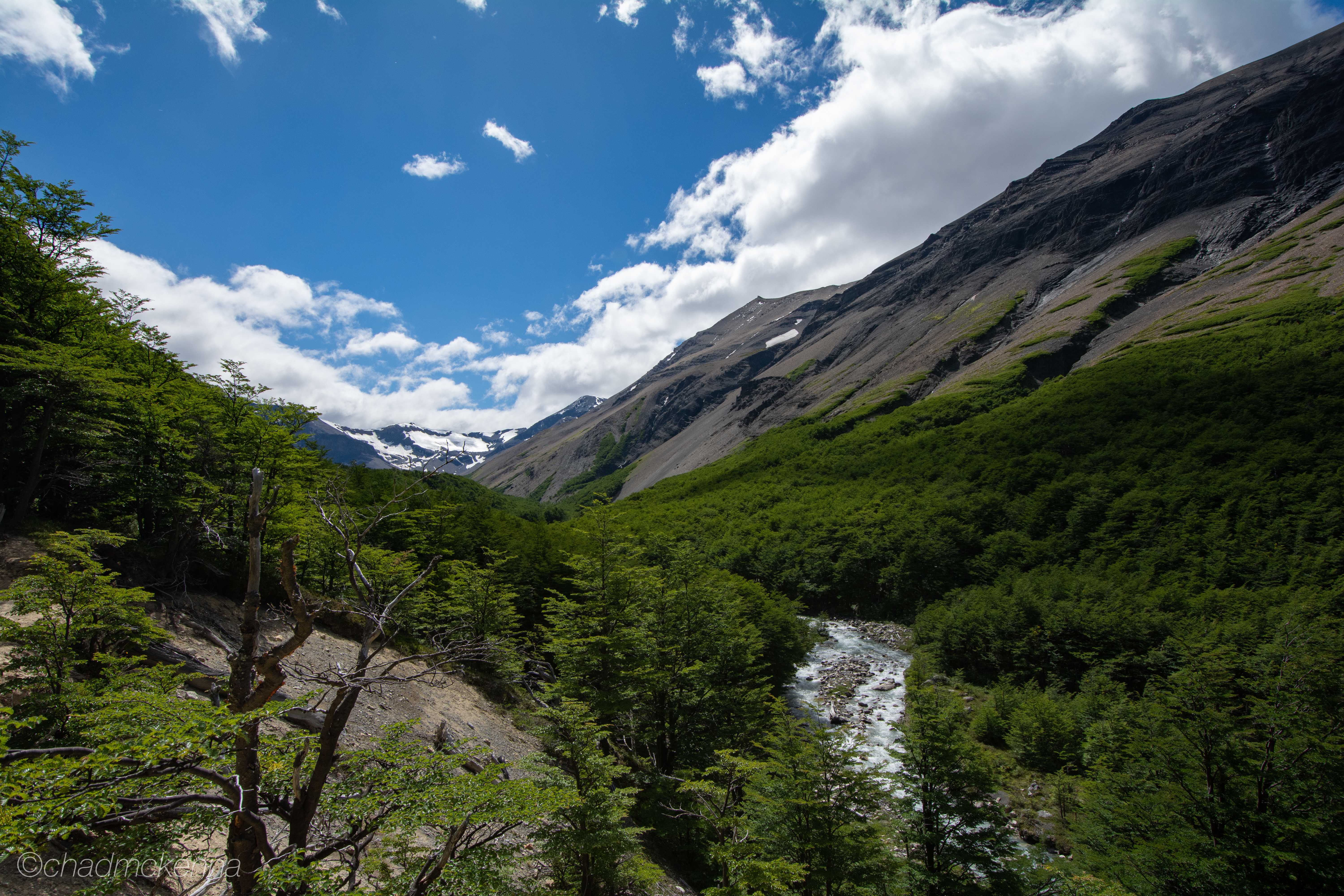 dsc_7628-41