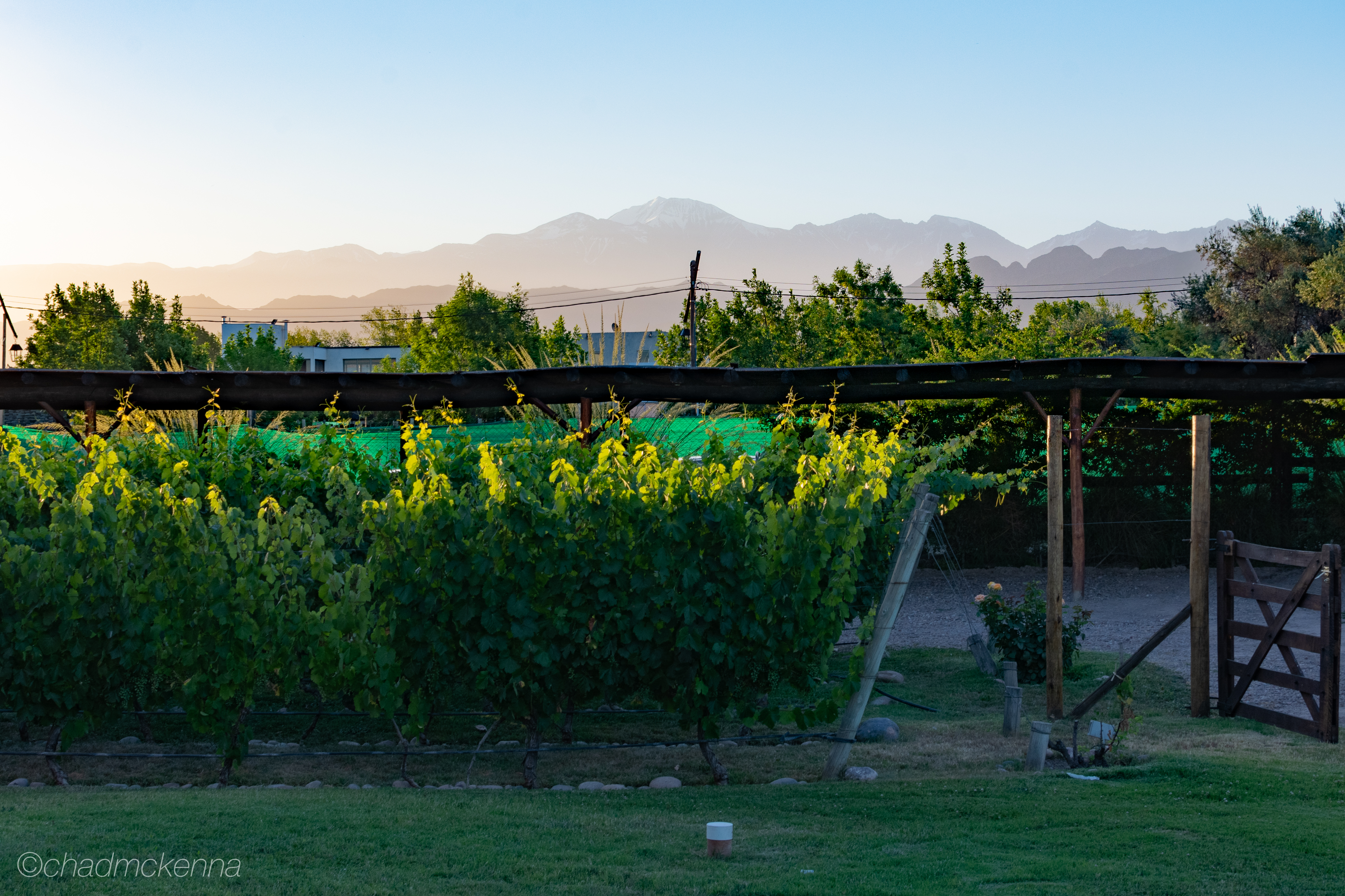 DSC_0786-HDR-16