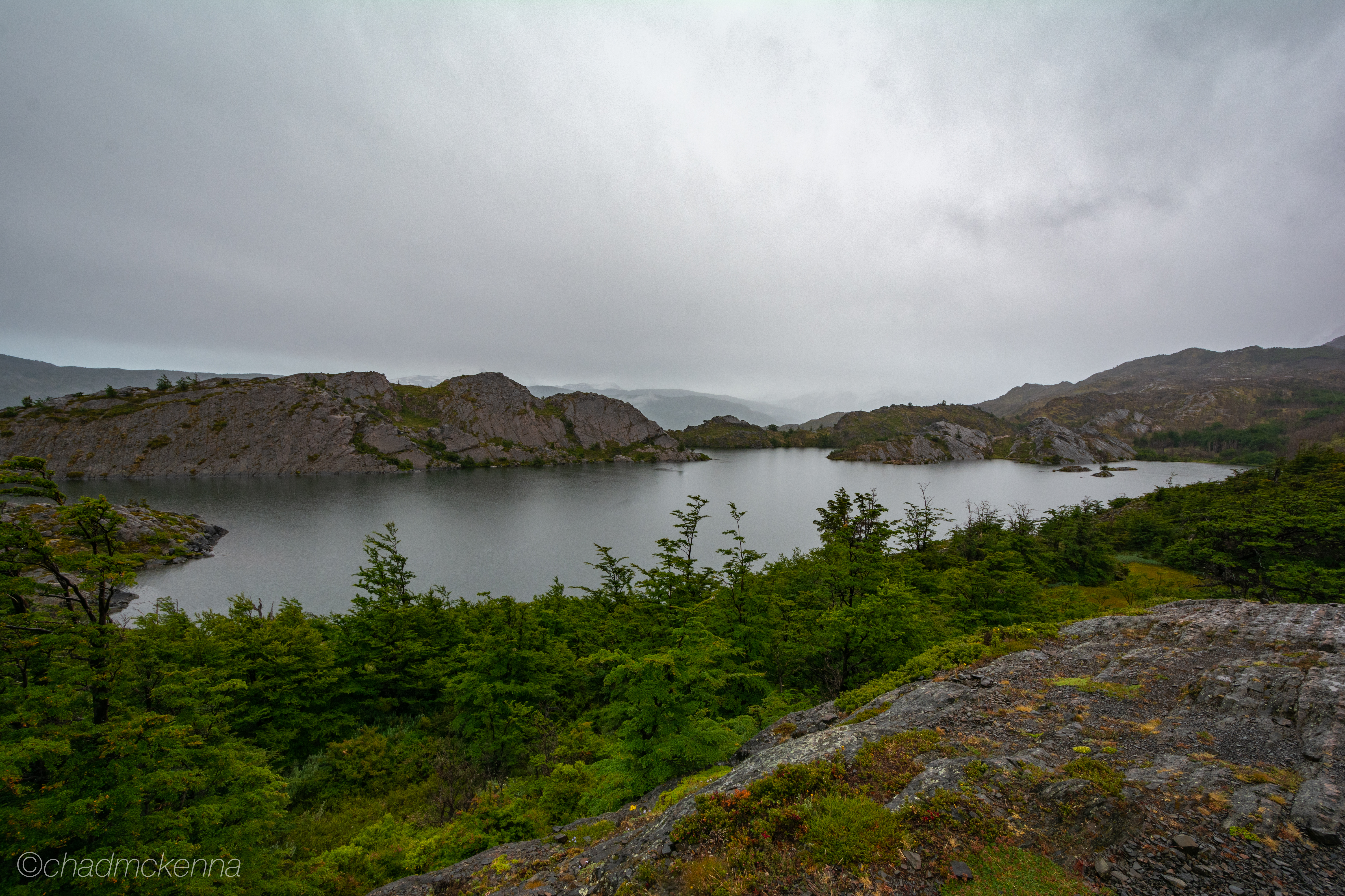 DSC_8798-3