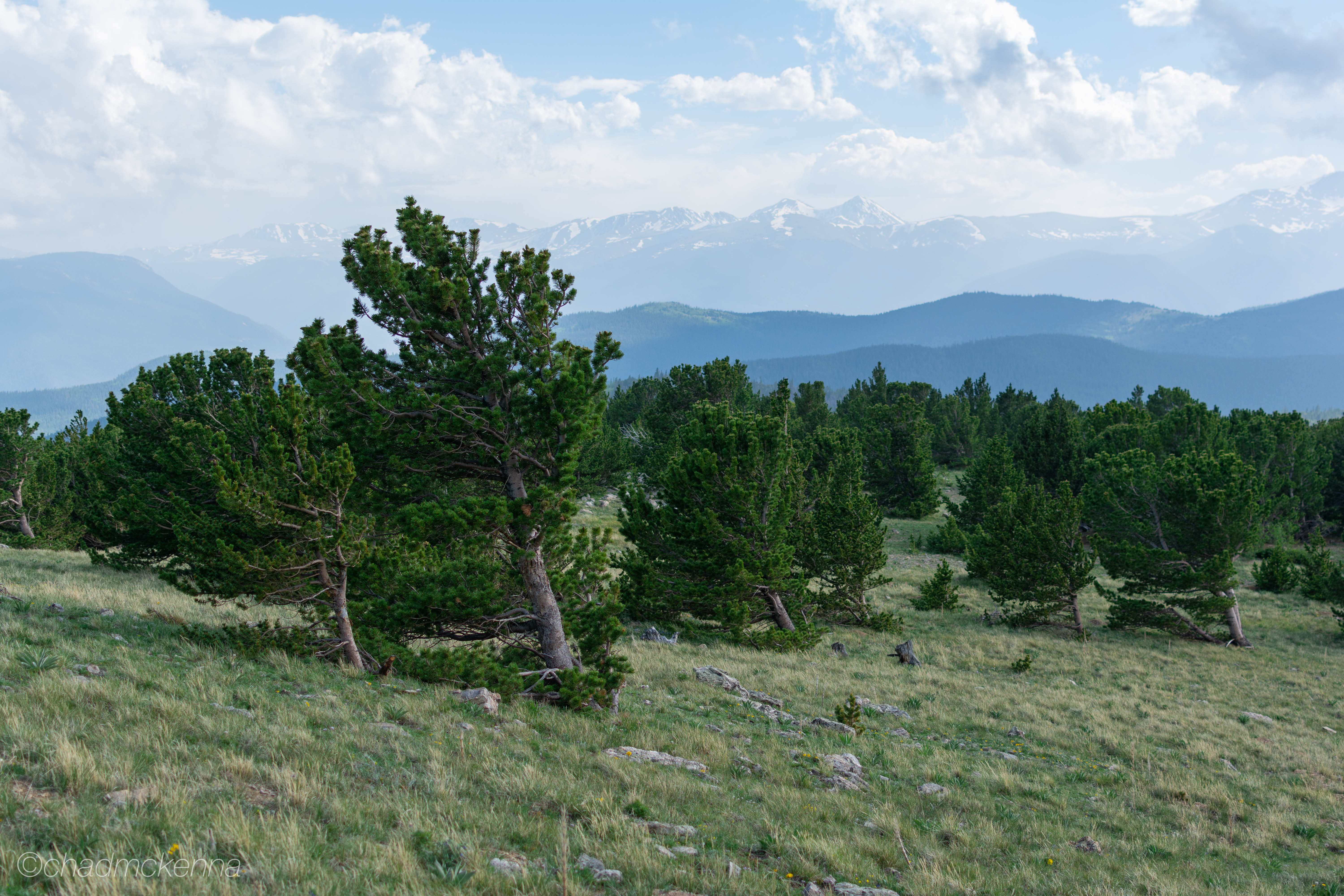 DSC_1070-9