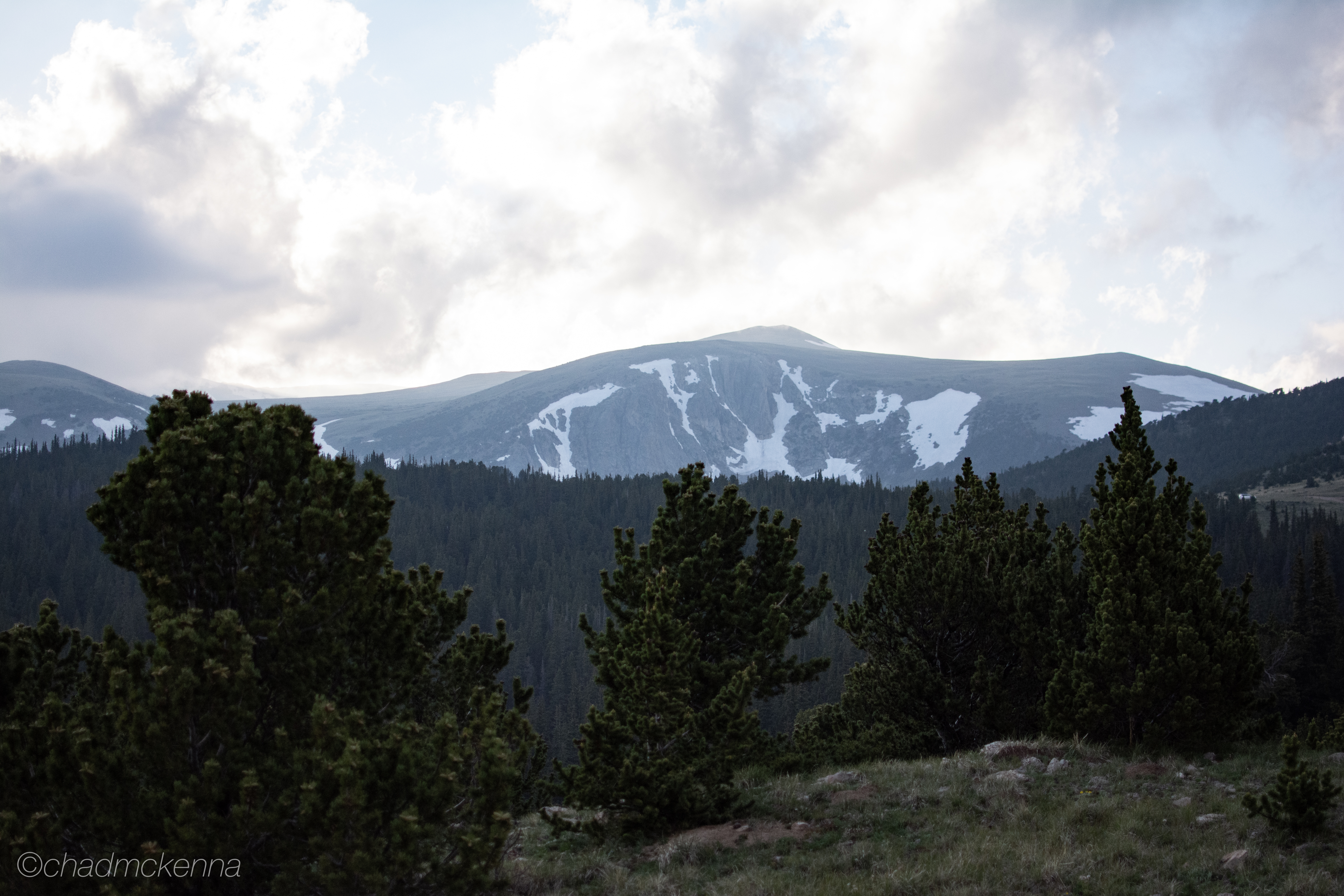 DSC_1113-13