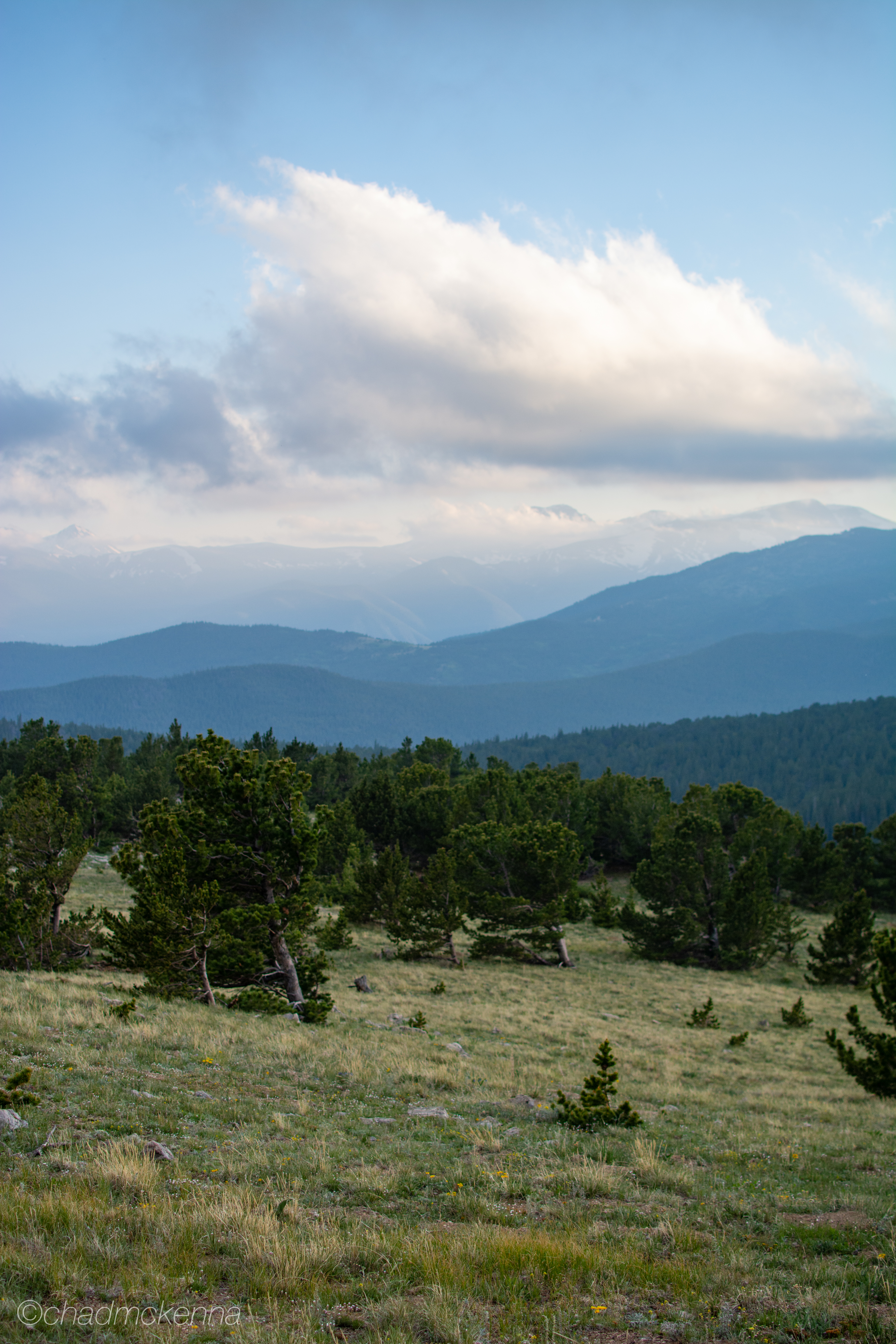 DSC_1121-14