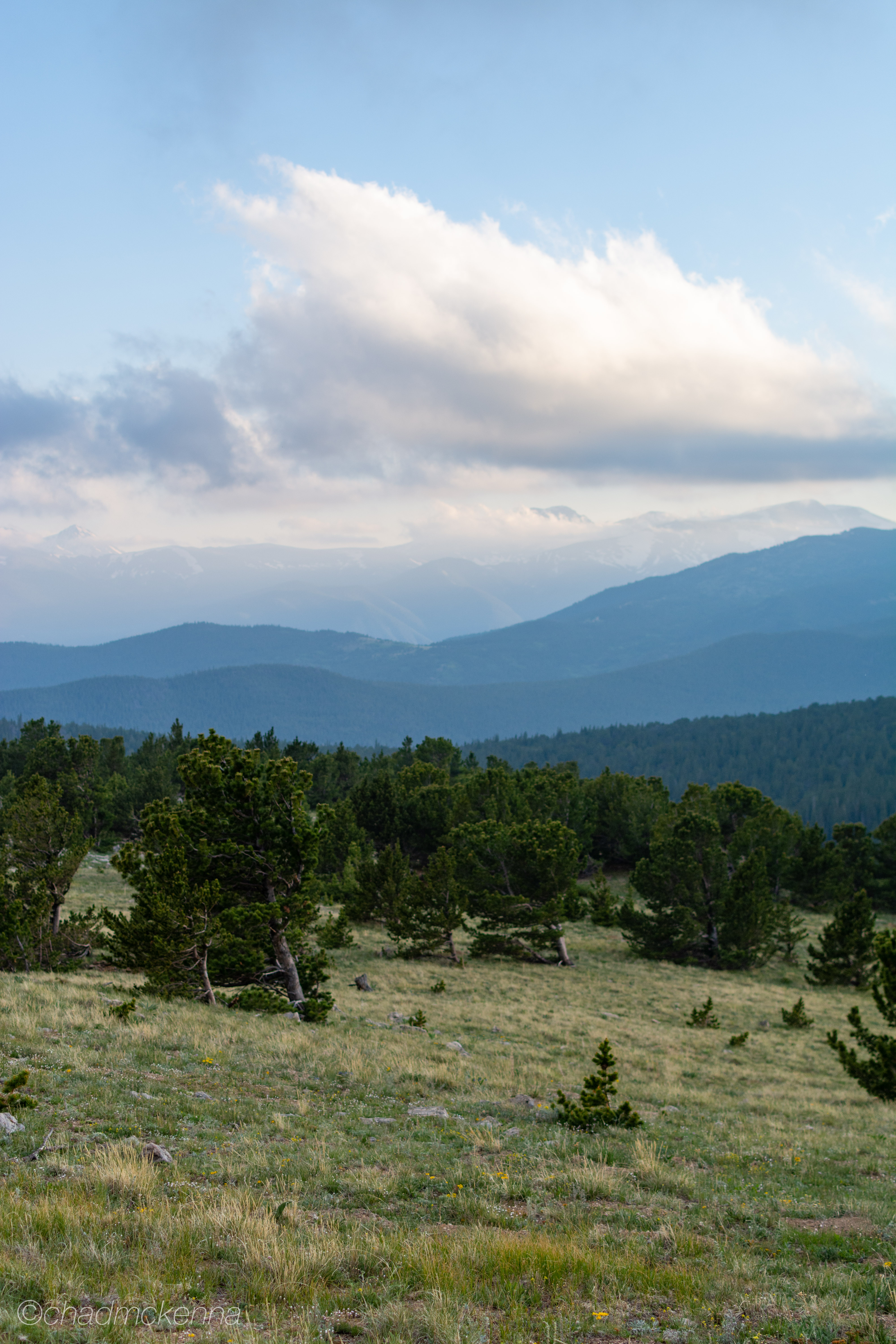 DSC_1121-9