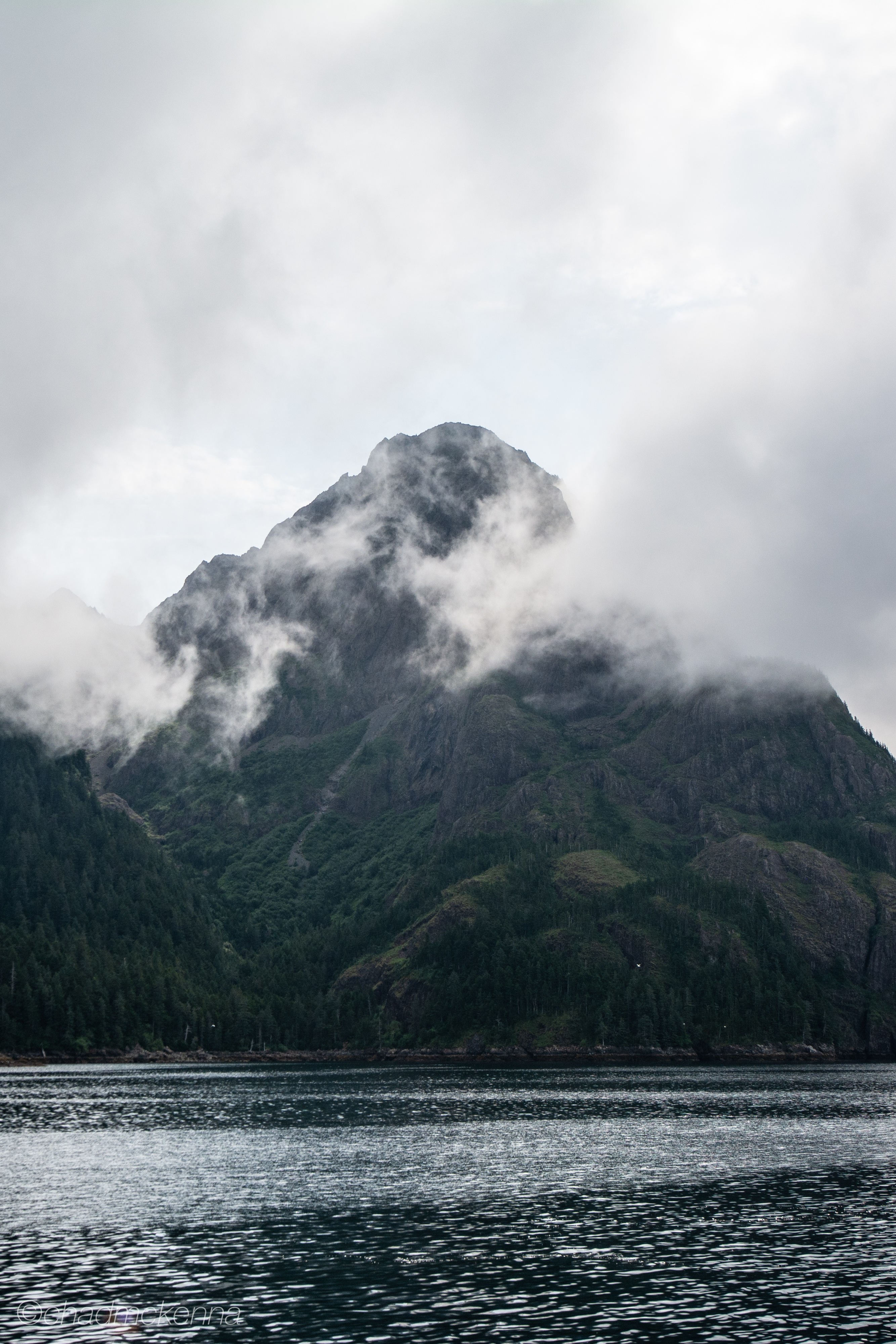 DSC_1655-31