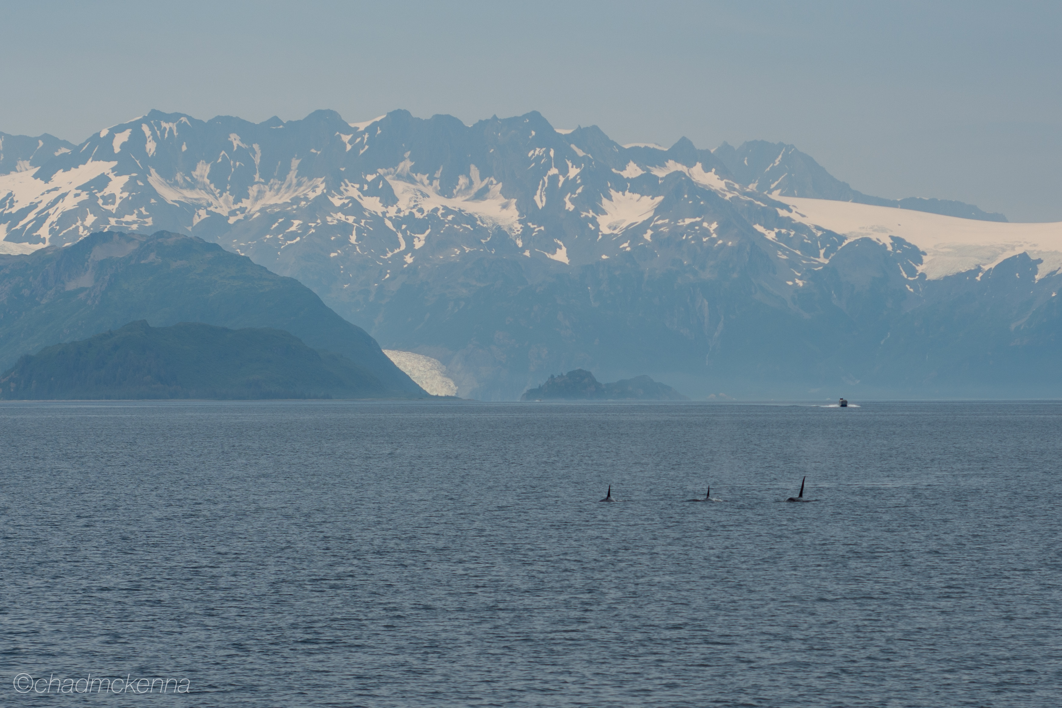 DSC_1814-34