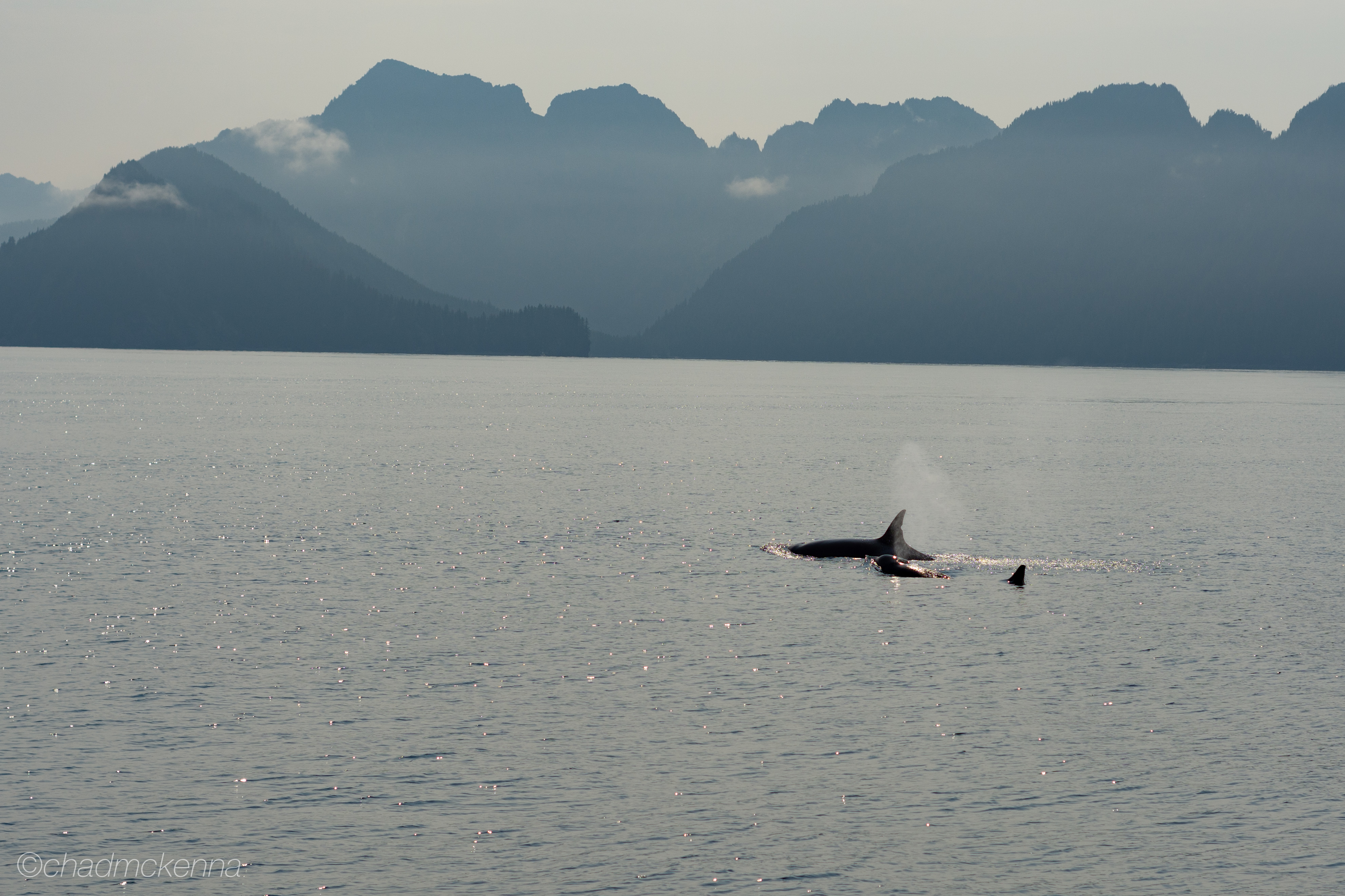 DSC_1906-36