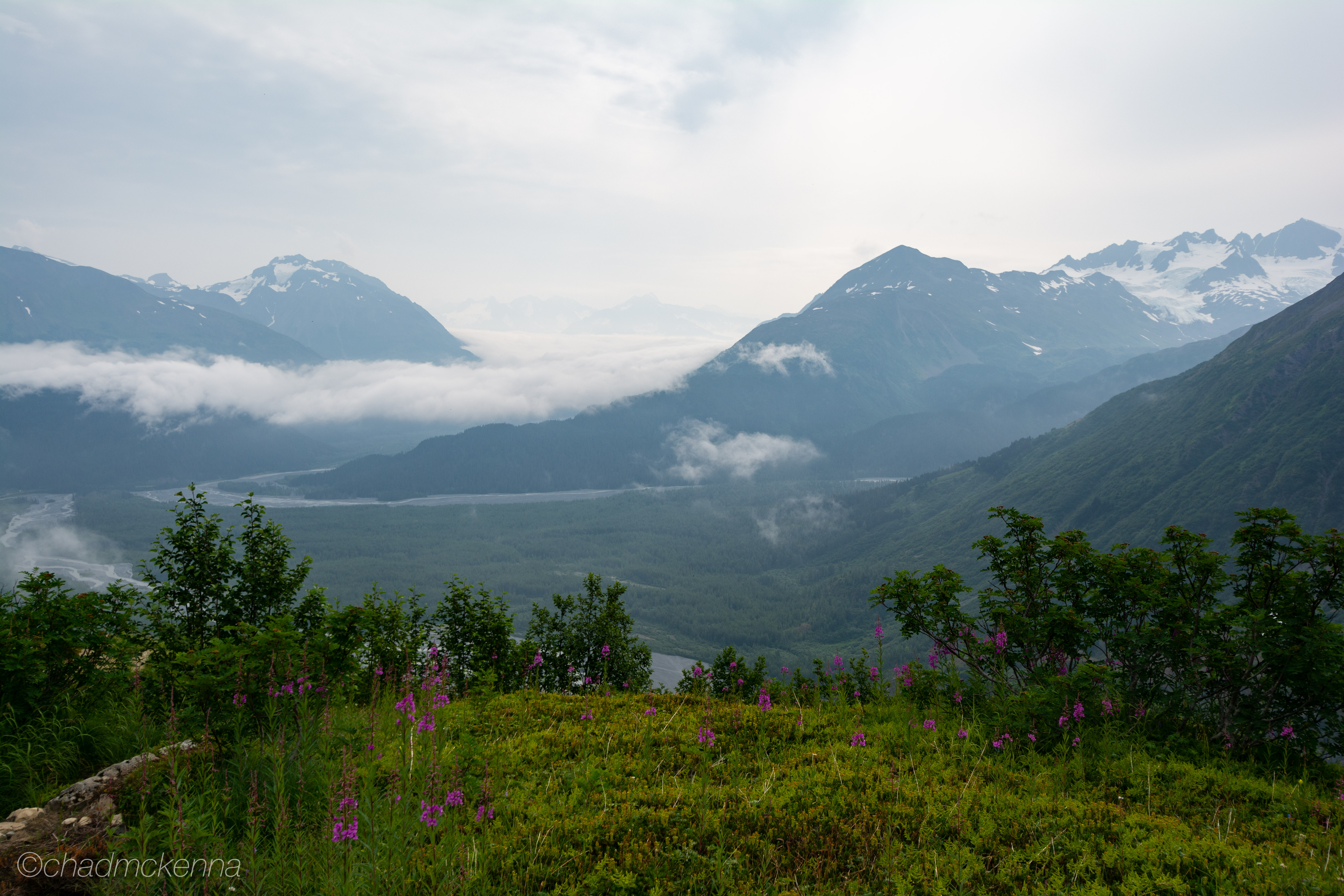 DSC_1953-37