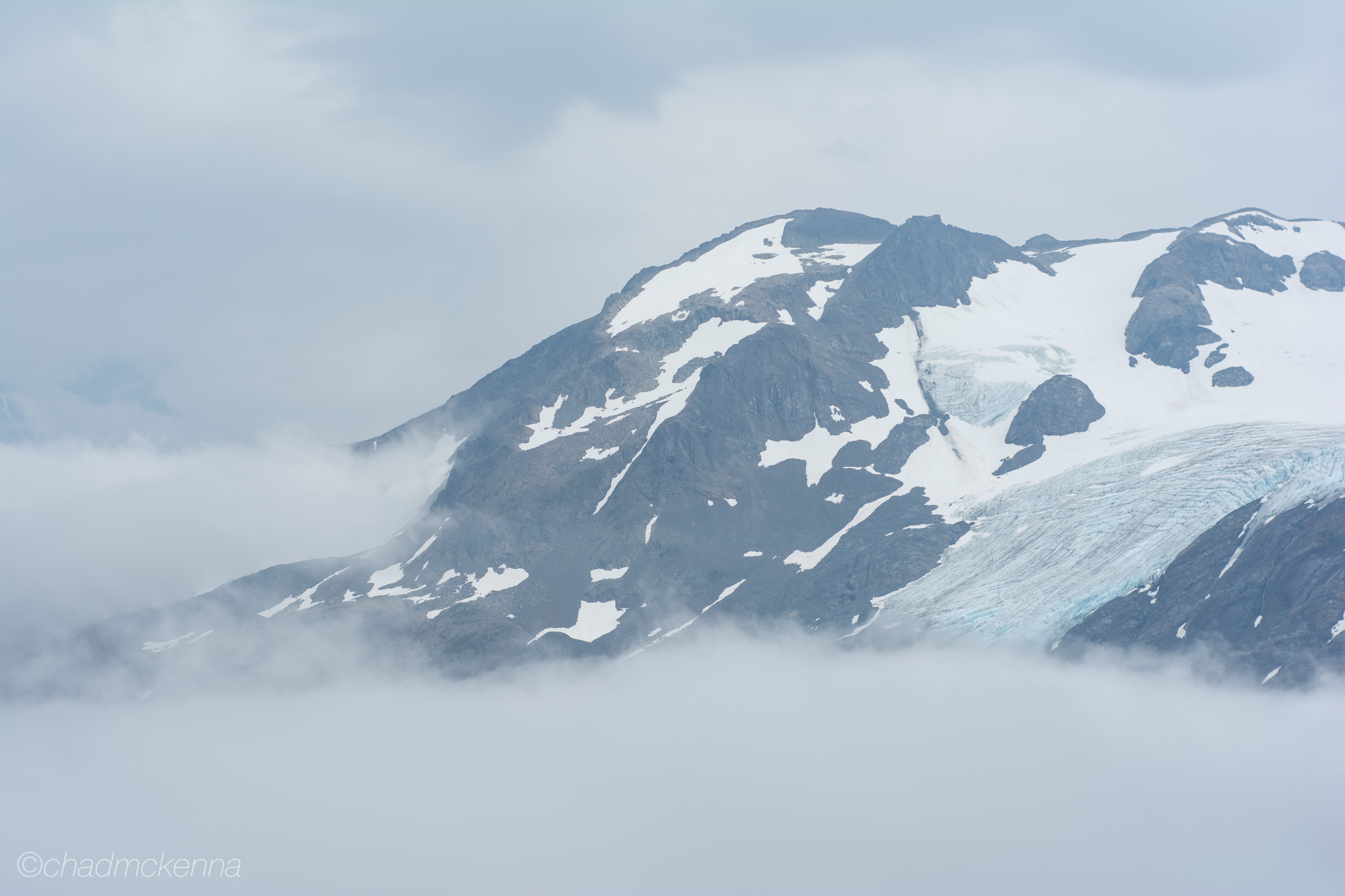 DSC_2041-41