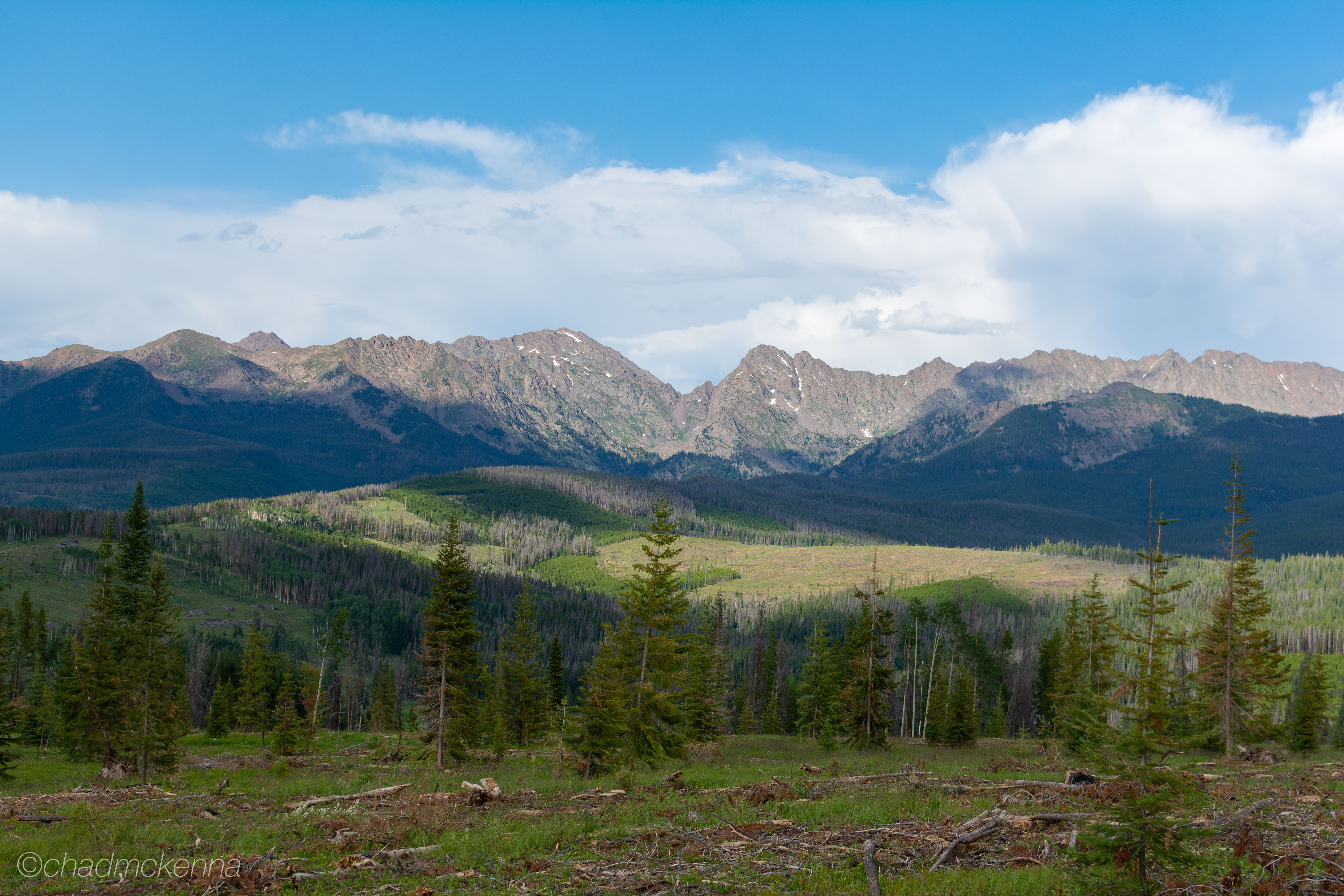 DSC_2143-21