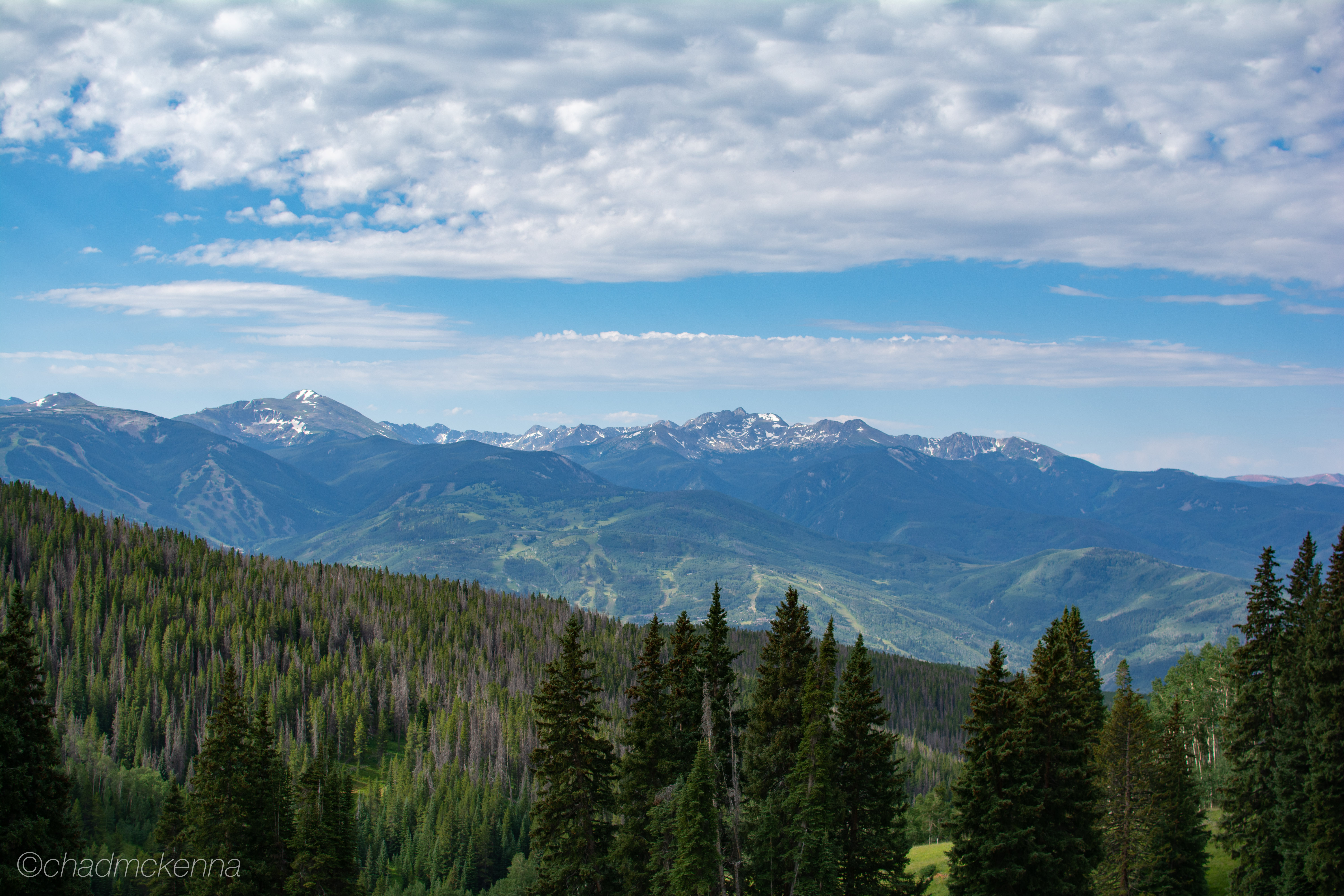 DSC_2196-25