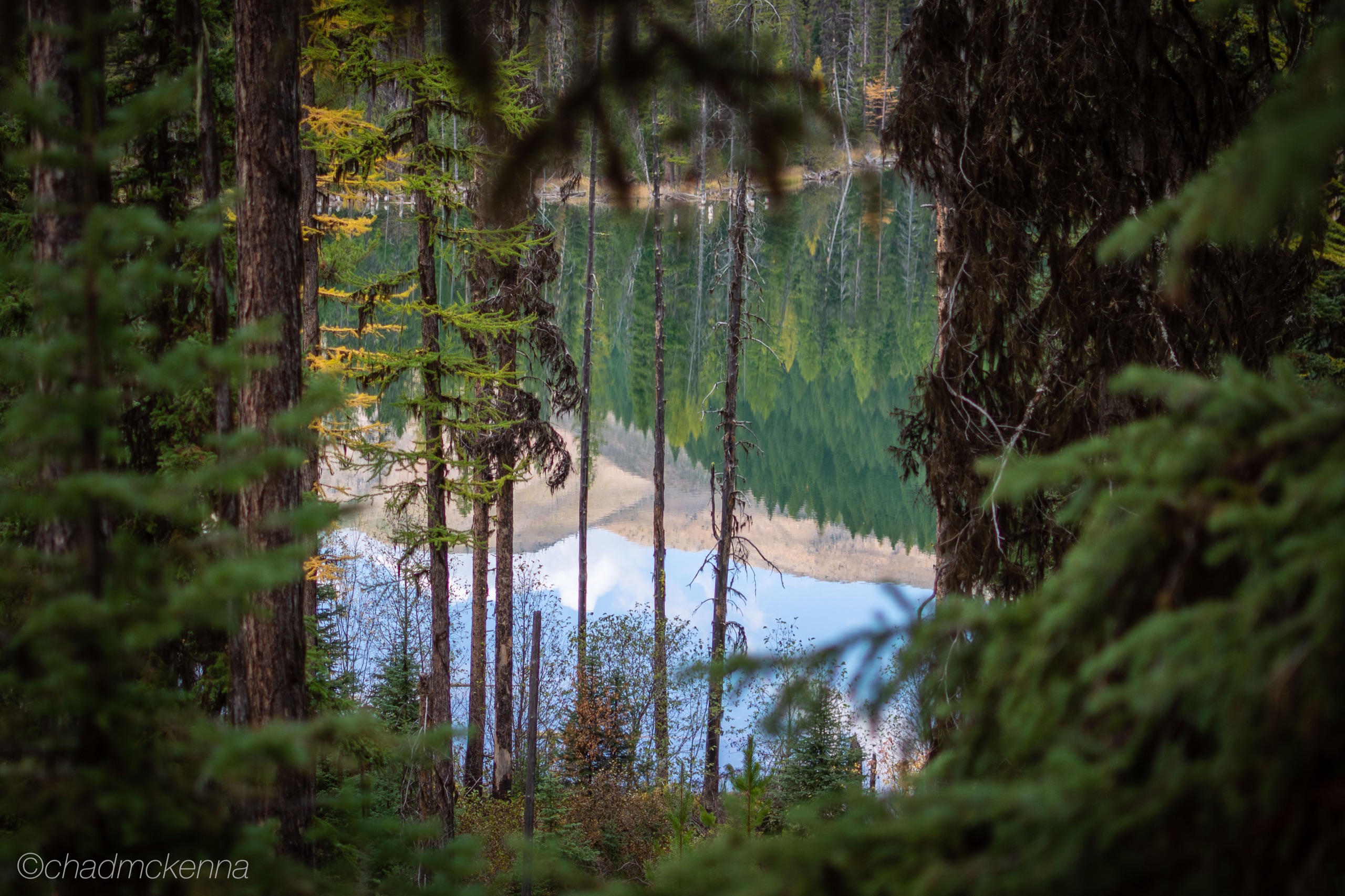 Montana