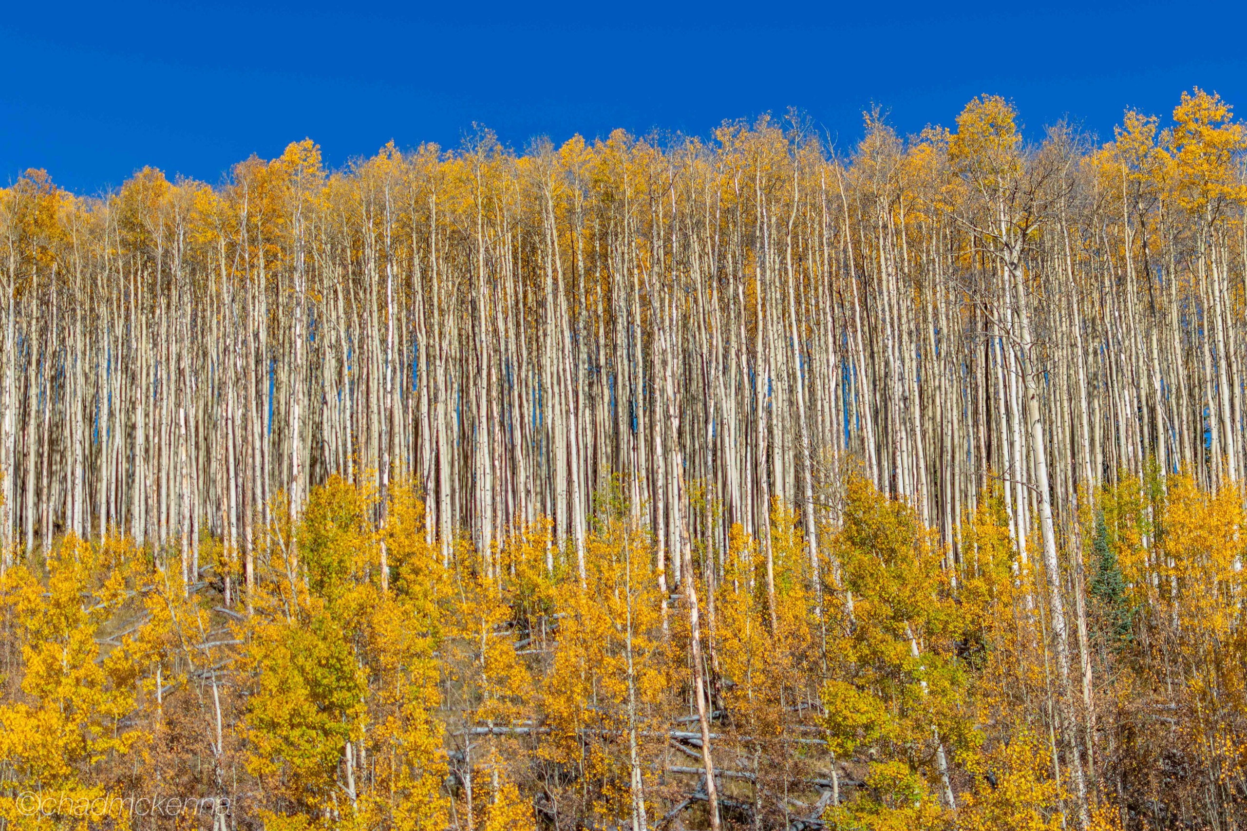Colorado Fall