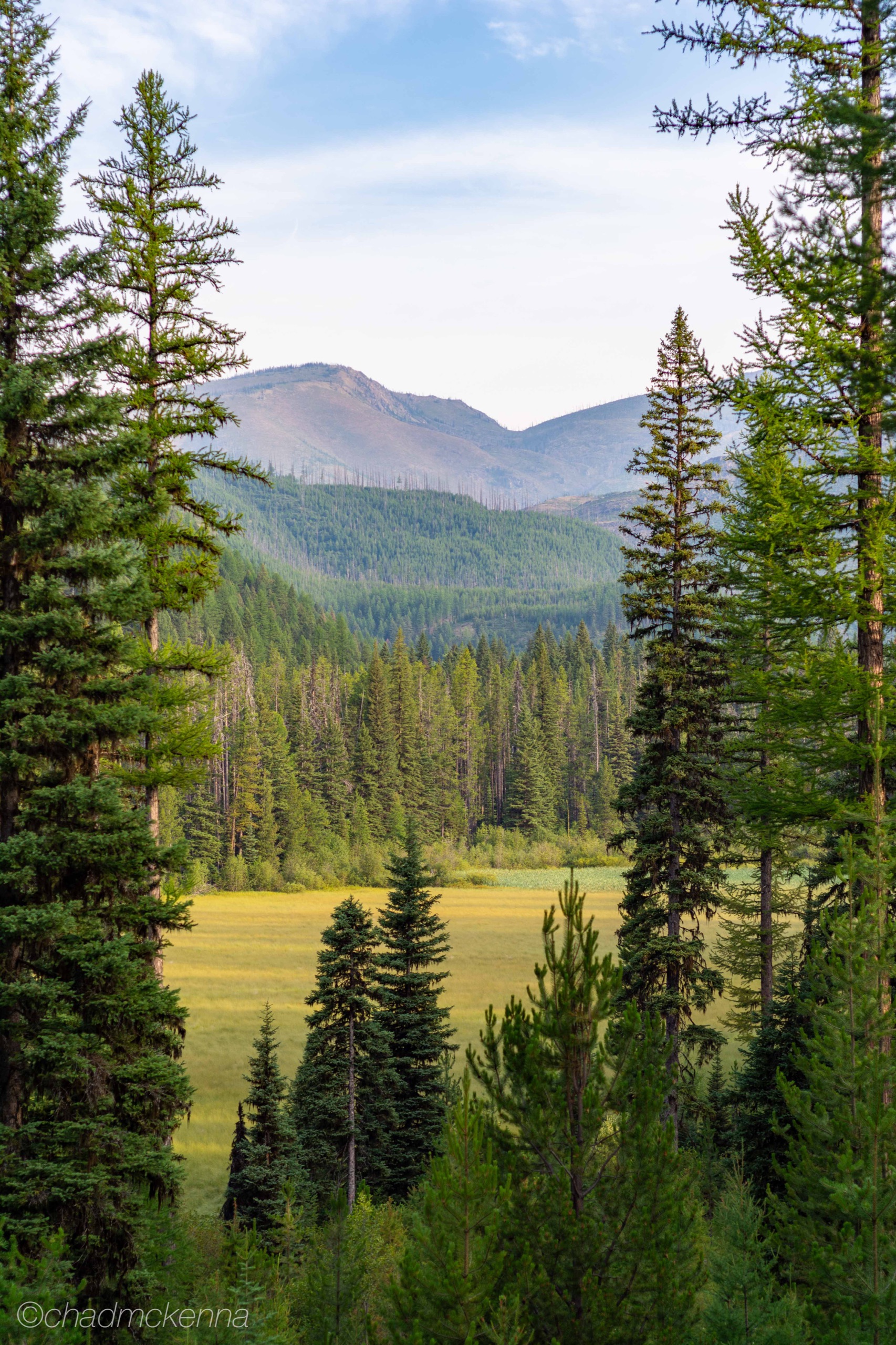 Summer in Montana